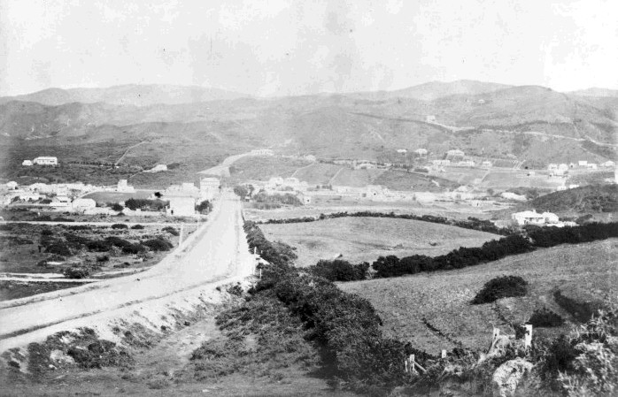 Coromandel Street, looking west down the hill towards the heart of Newtown, early 1880s. Newtown’s rural aspect is still evident but that would rapidly change over the next decade. Image: National Library reference 