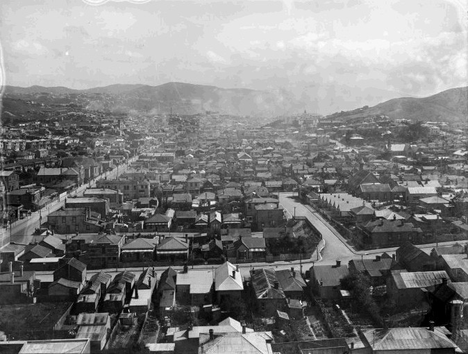 Newtown c.1910, looking north. The suburb grew enormously in a short period of time. Image: National Library reference 