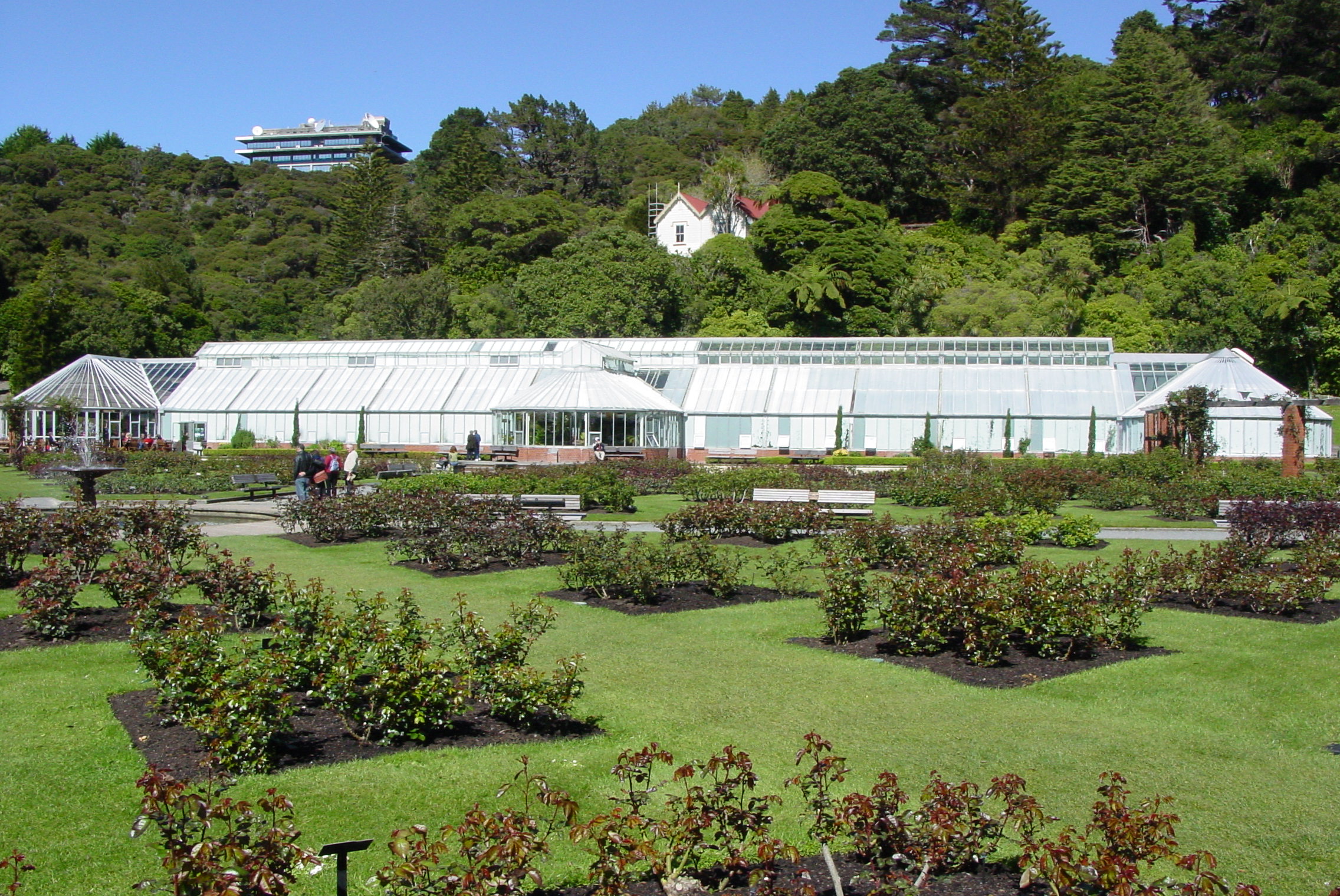 Image: WCC, 2007