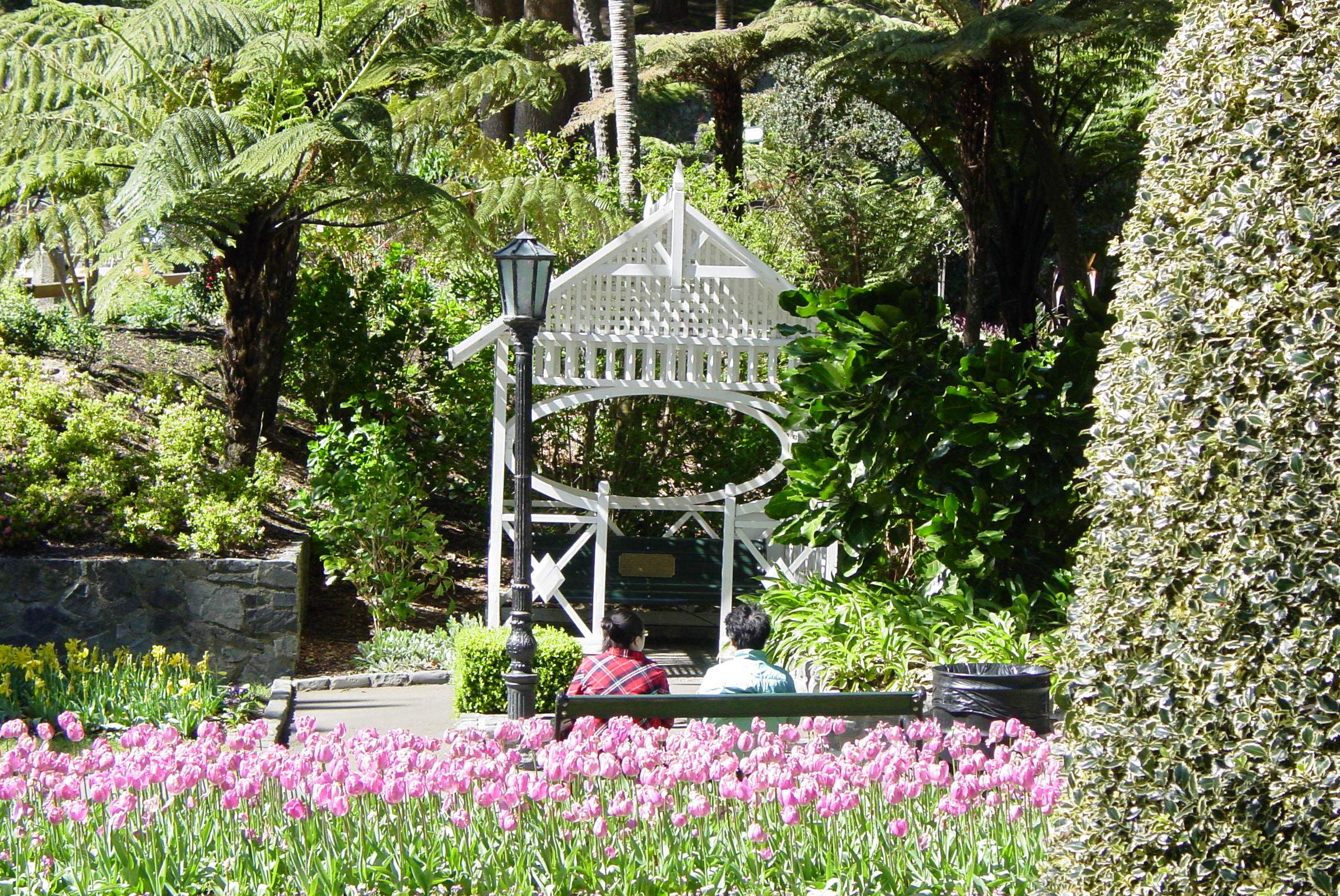 Image: WCC, 2007