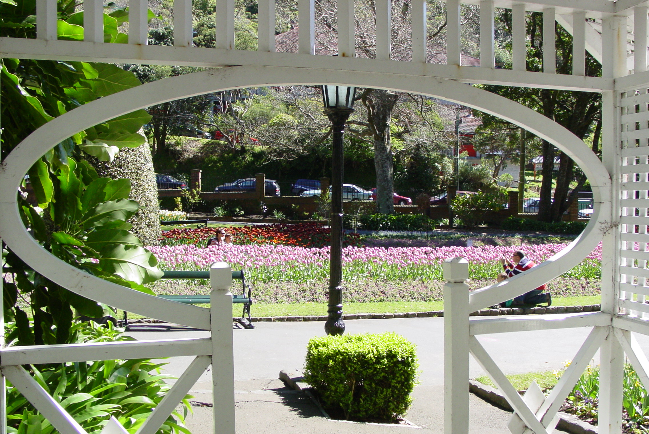 Image: WCC, 2007