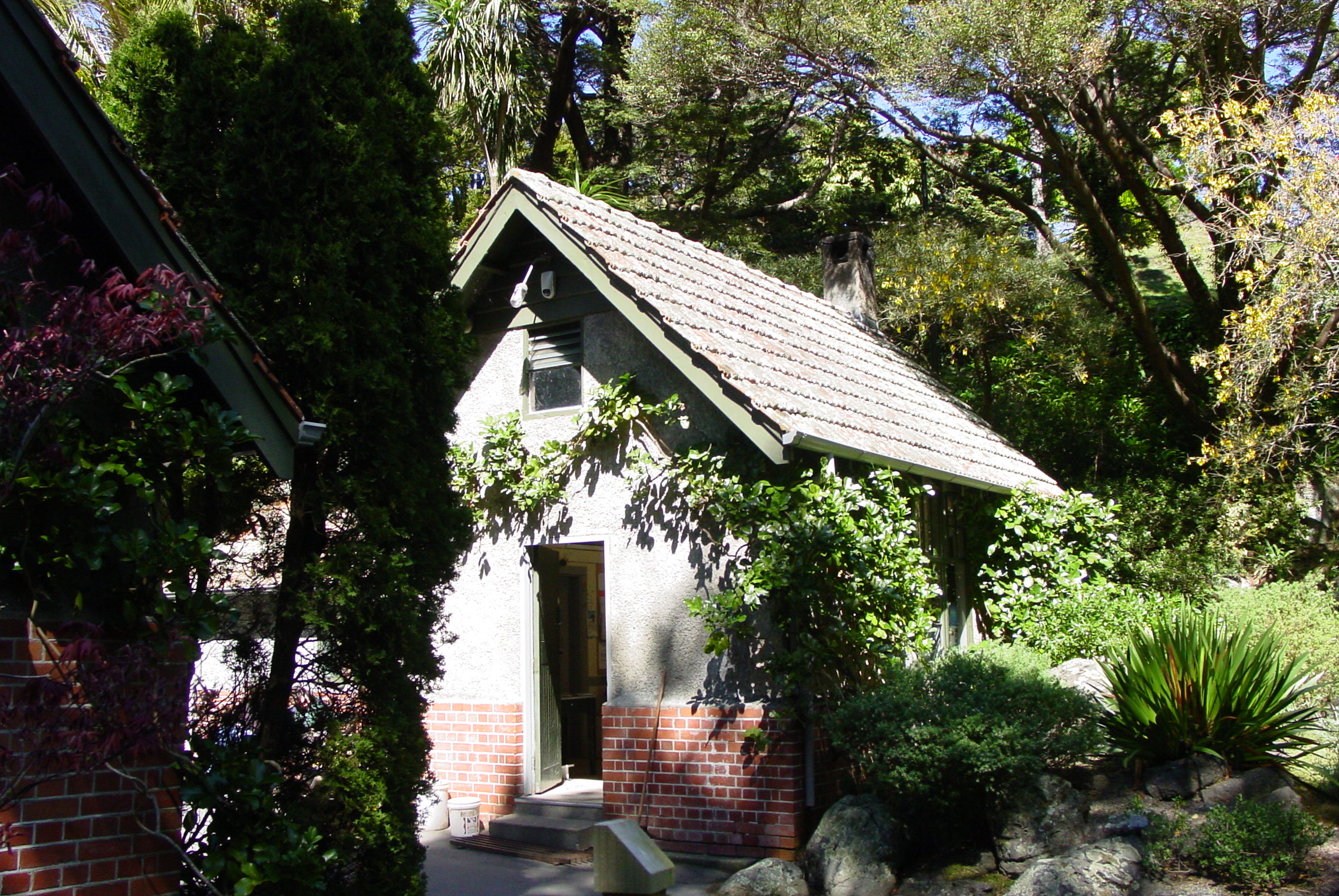 Image: WCC, 2007