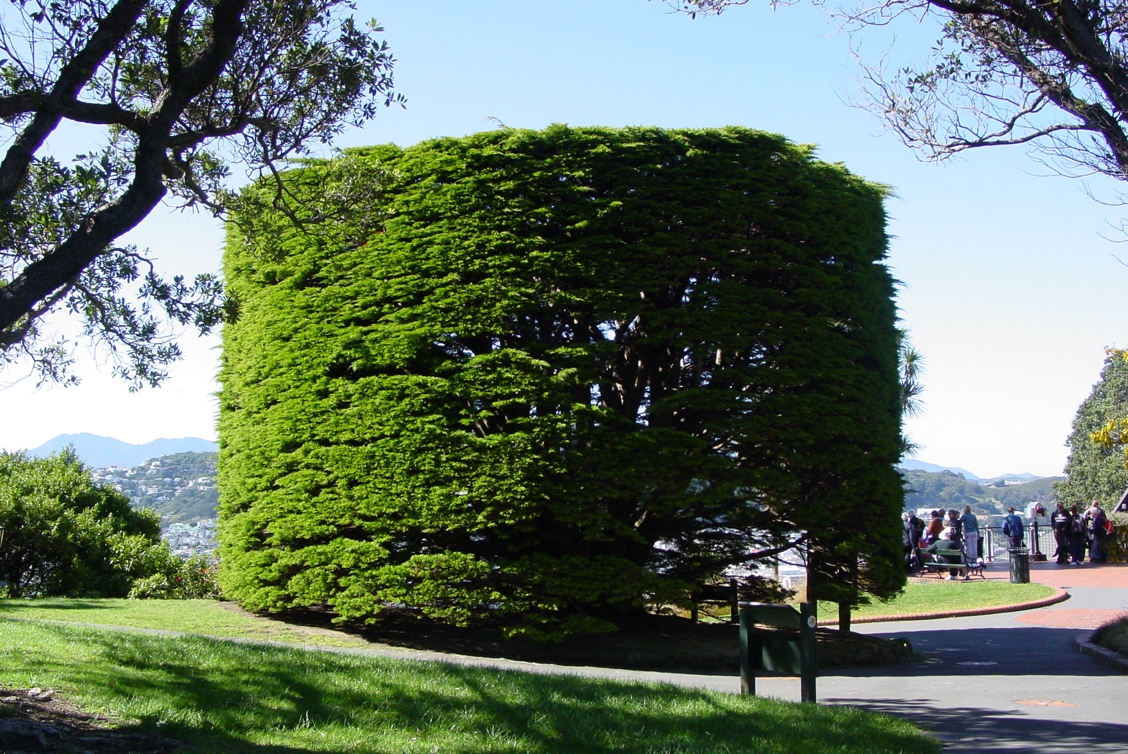 Image: WCC, 2007