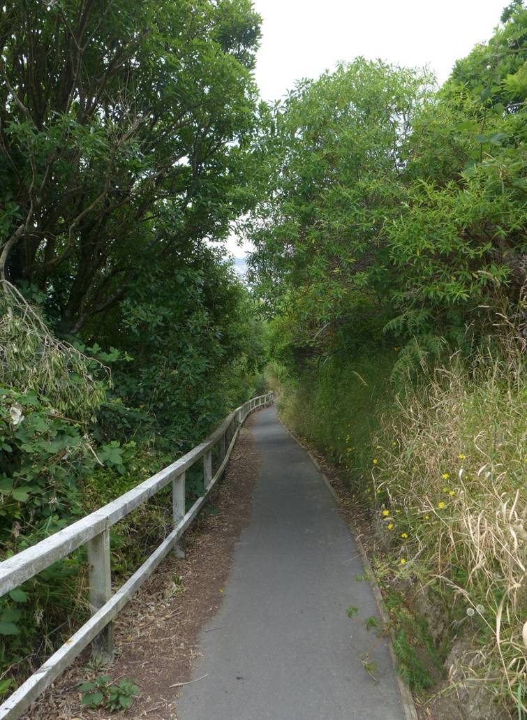 Image: WCC, 2014