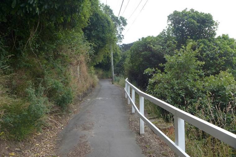Image: WCC, 2014