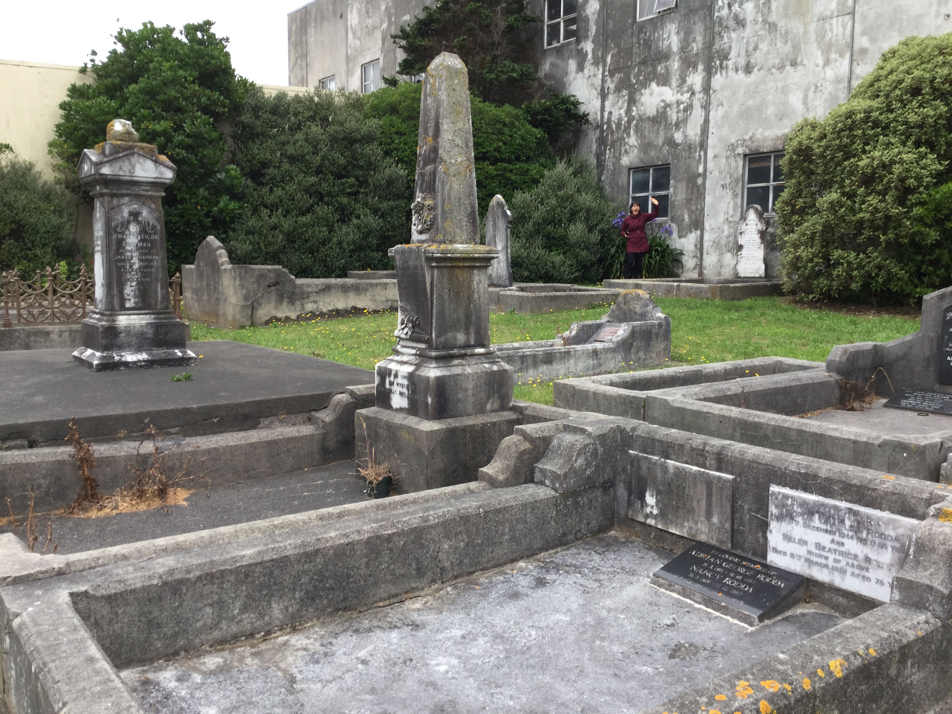 Image: WCC, 2017