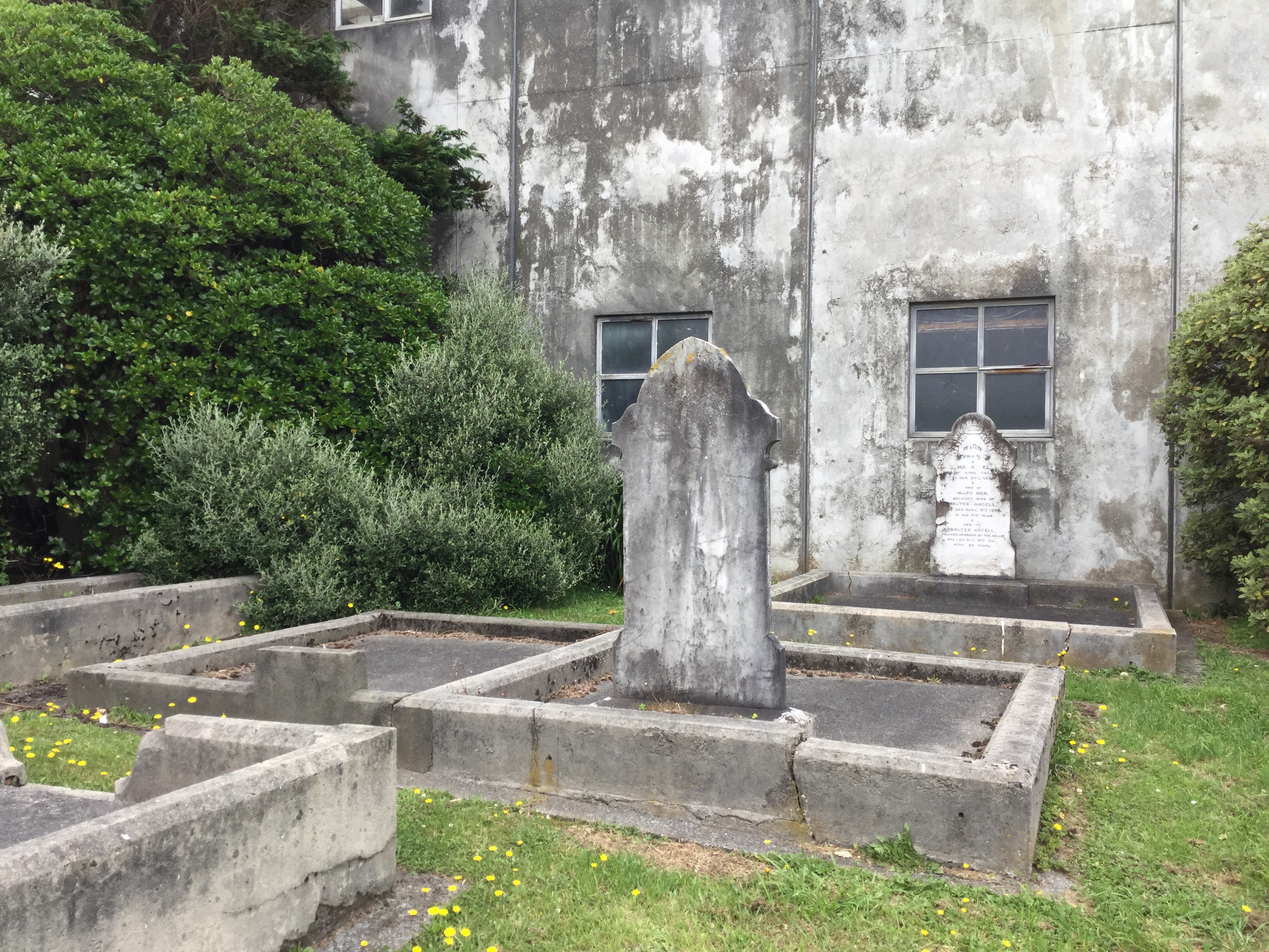 Image: WCC, 2017