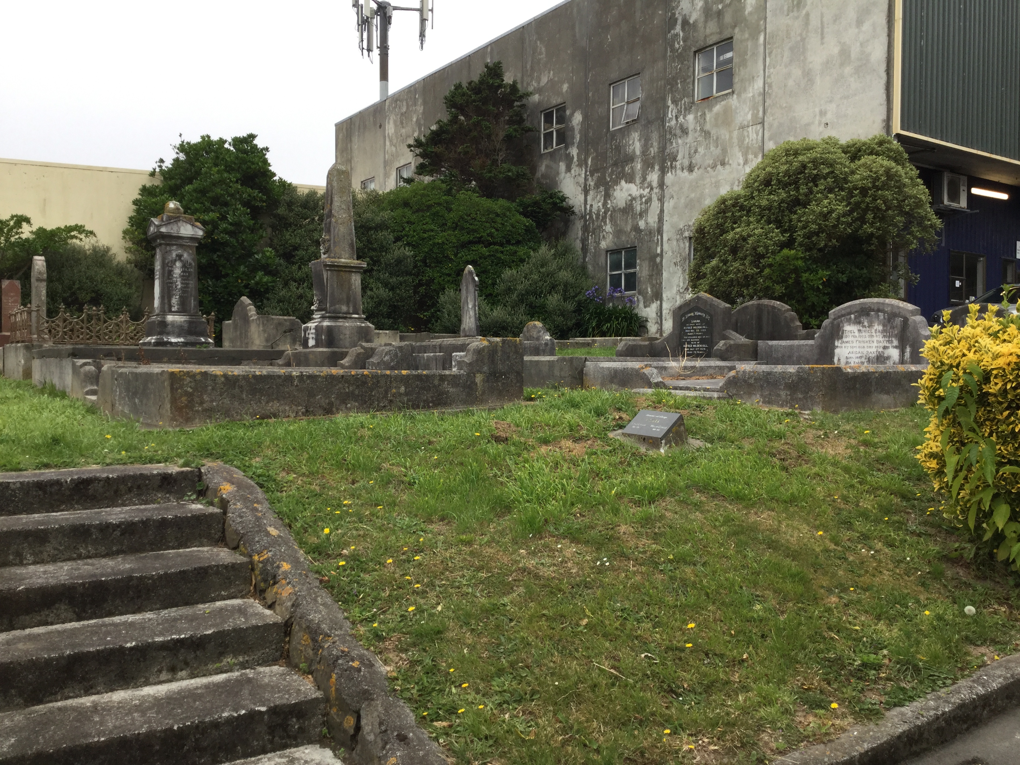 Image: WCC, 2017