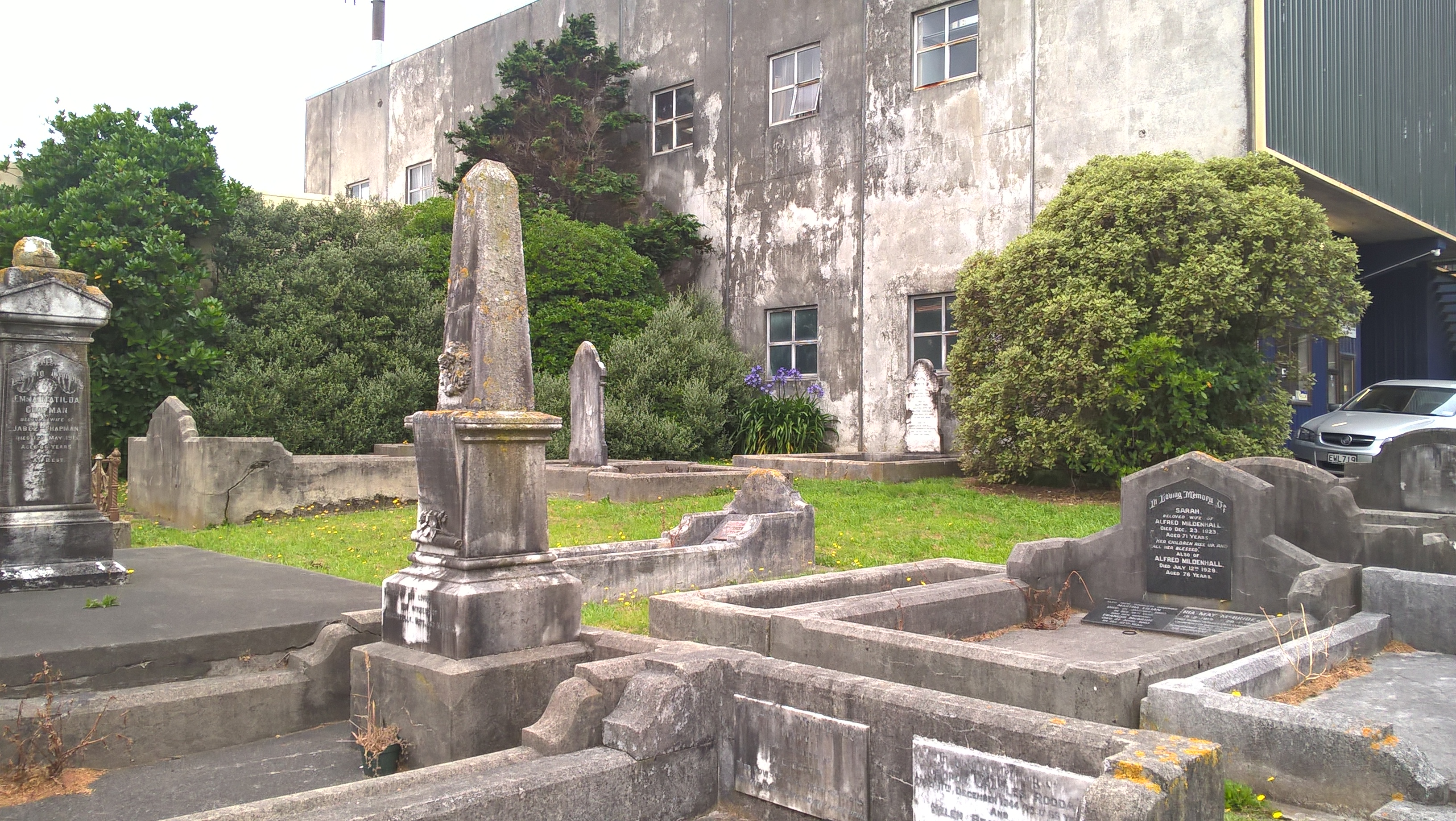 Image: WCC, 2017