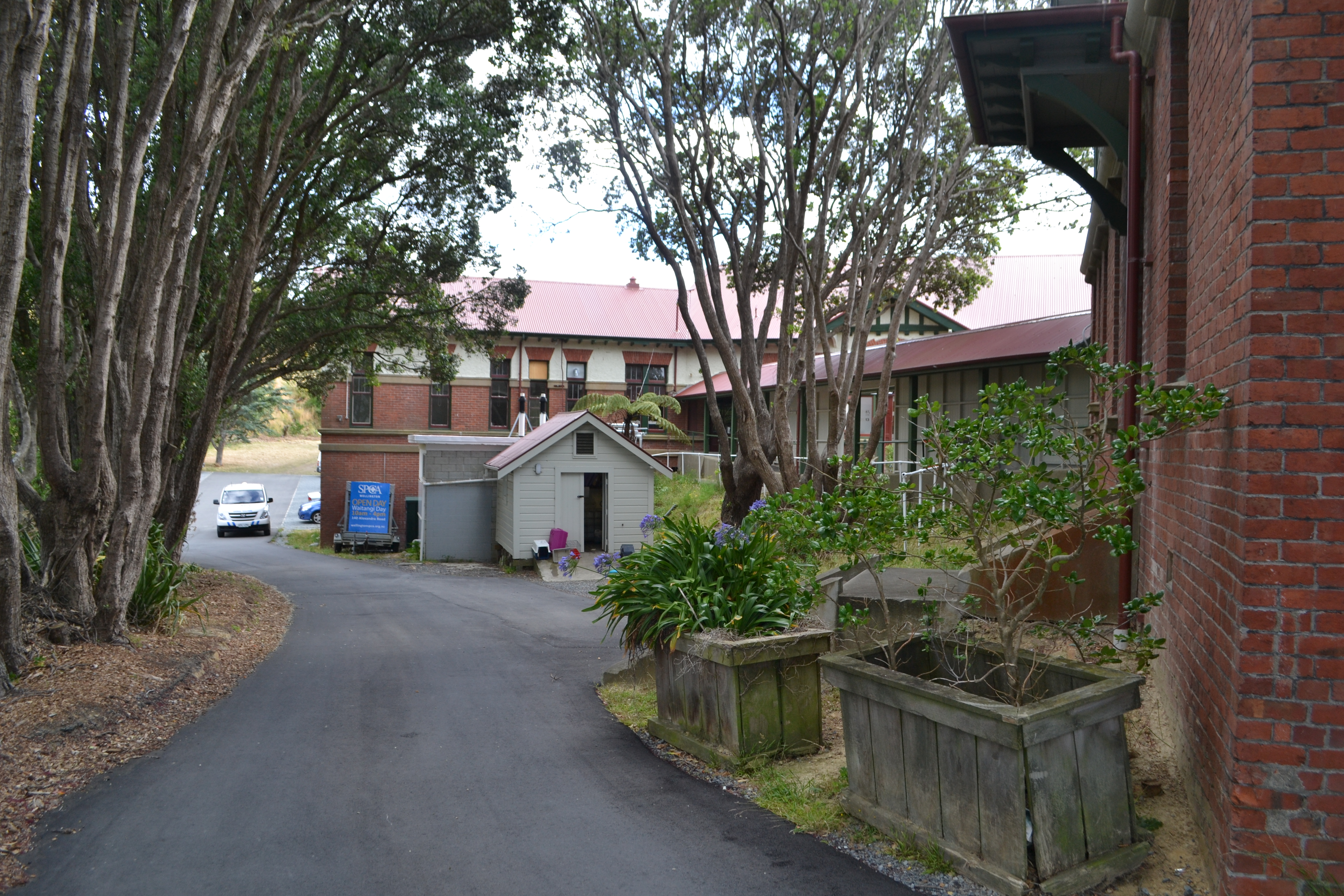 Image: WCC, 2015