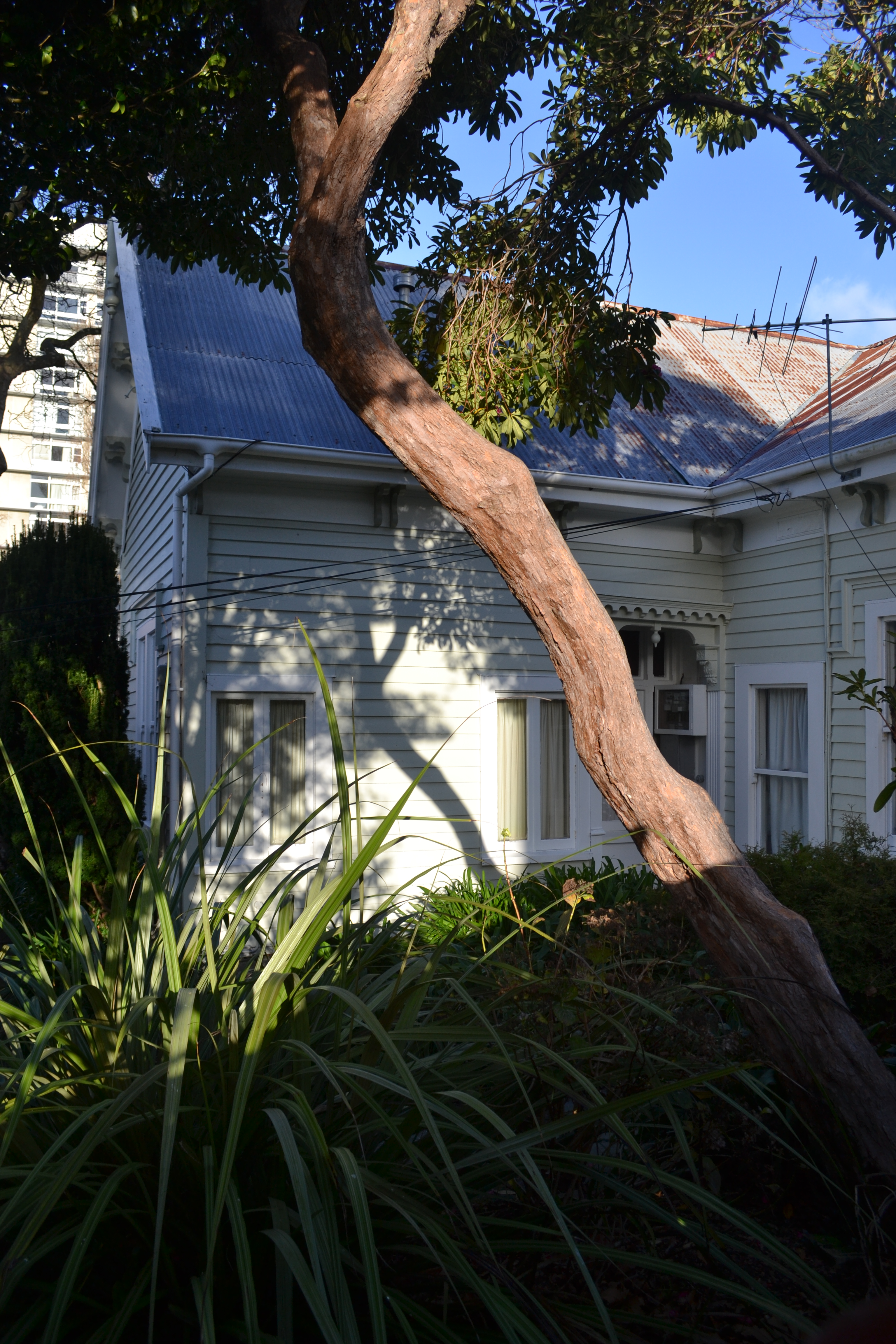 Image: WCC - Charles Collins, 2016