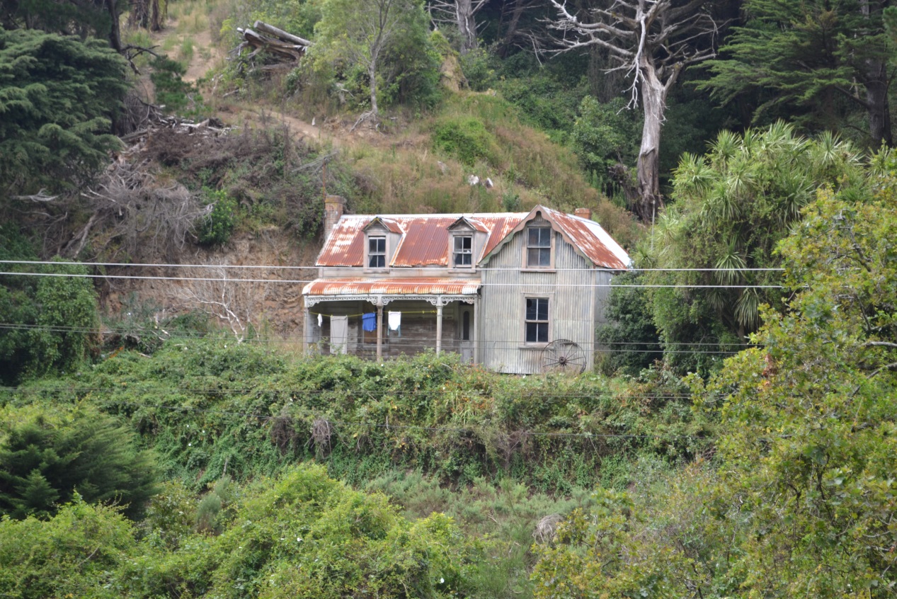 Image: Charles Collins, 2015