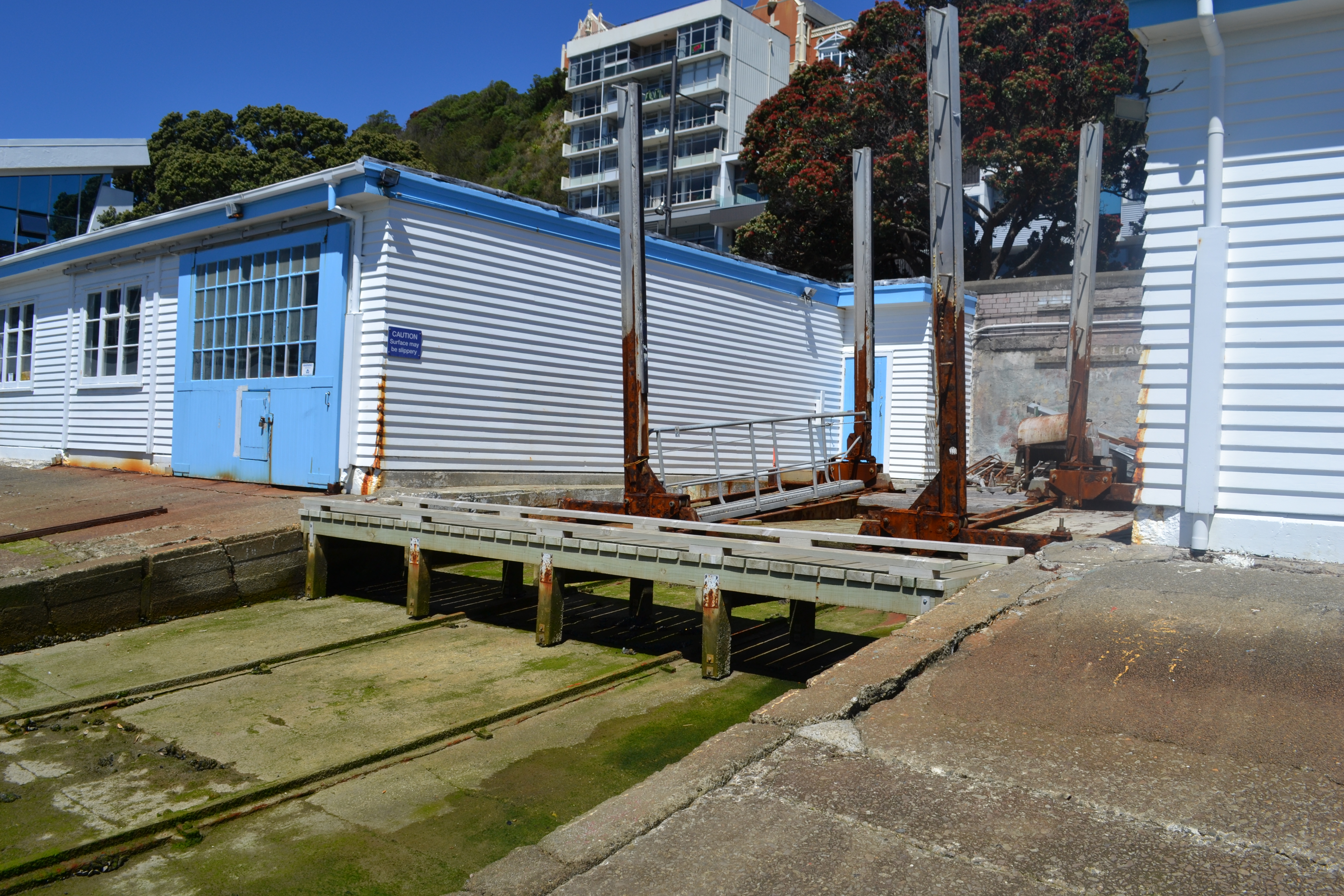 Image: WCC - Charles Collins, 2015
