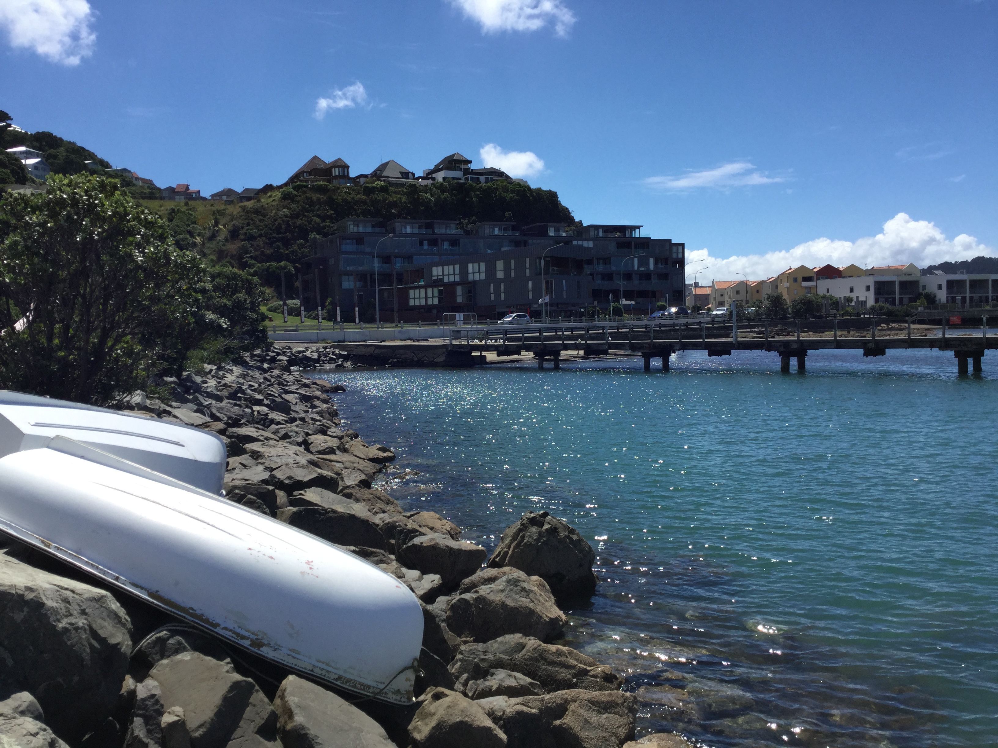 Evans Bay seawall. Image: WCC, 2018