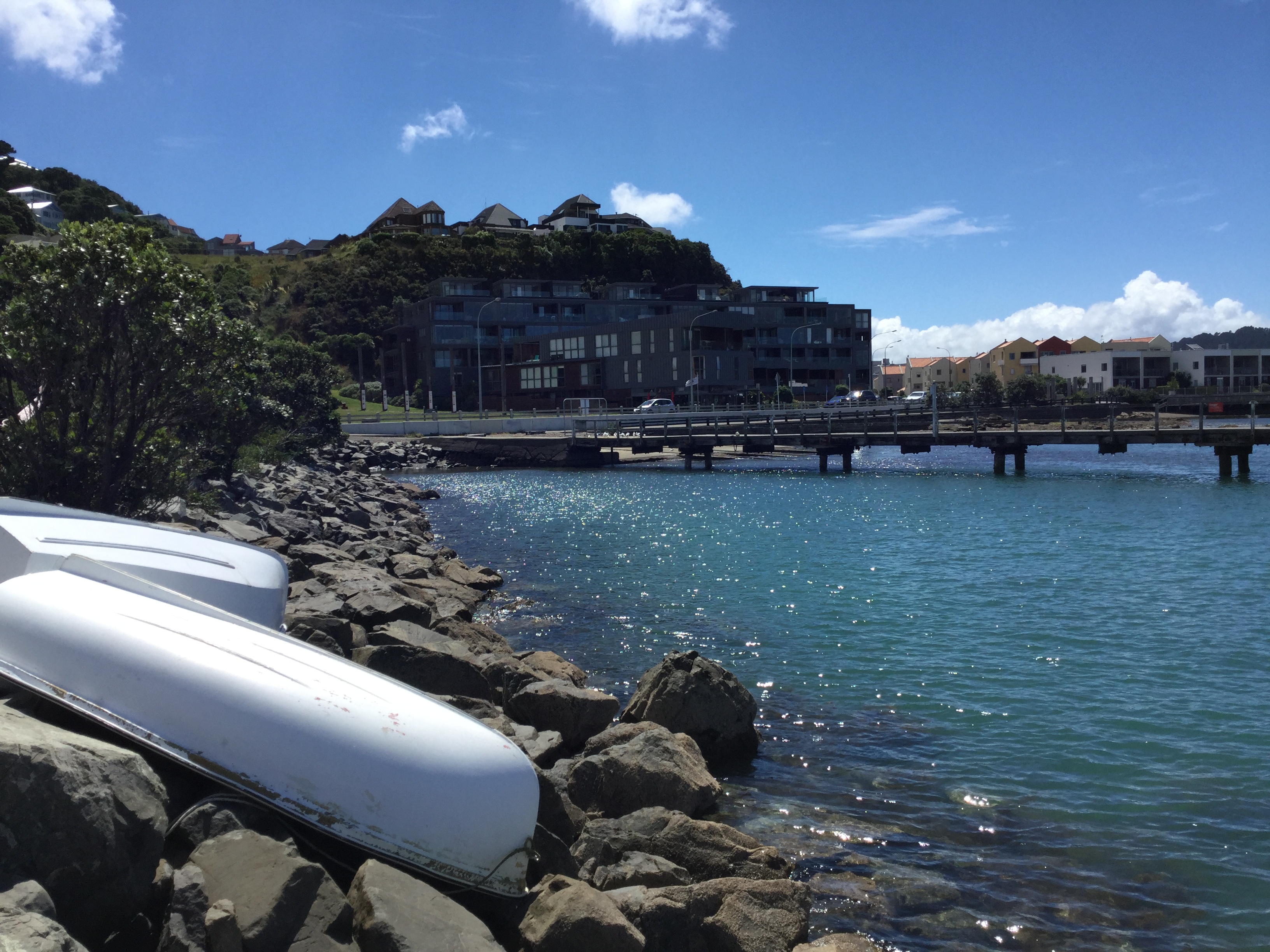 Evans Bay seawall. Image: WCC, 2018