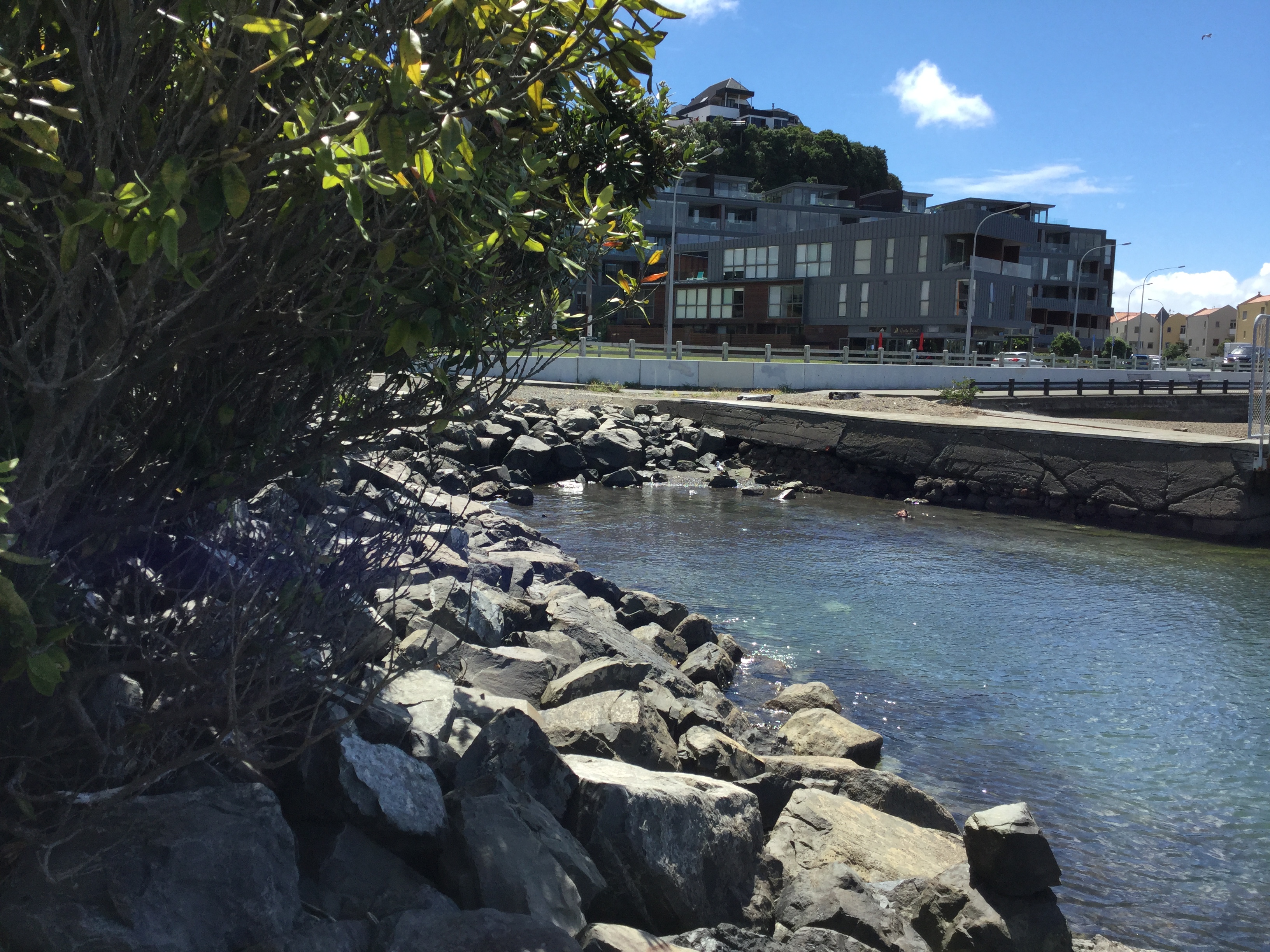 Evans Bay seawall. Image: WCC, 2018