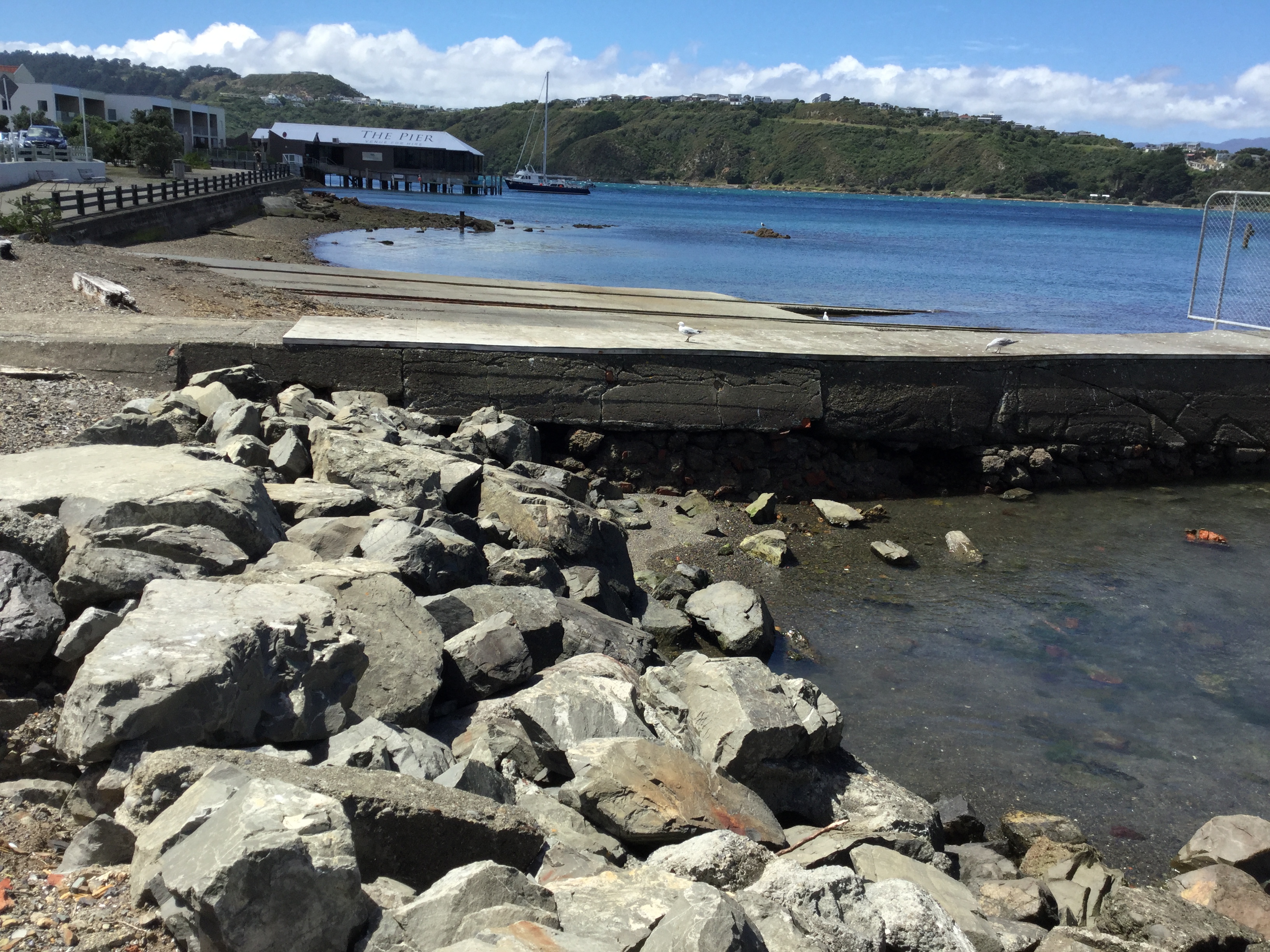 Evans Bay seawall. Image: WCC, 2018