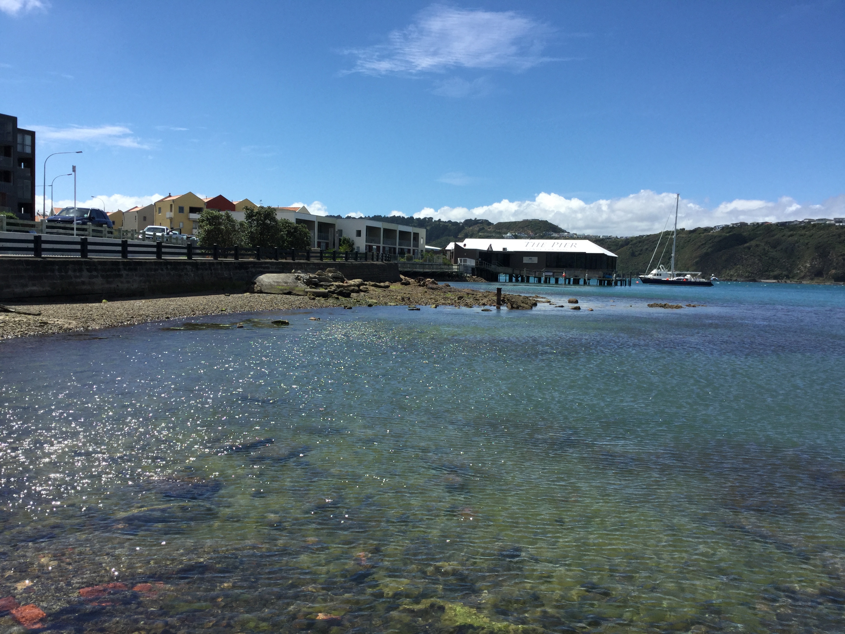 Evans Bay seawall. Image: WCC, 2018