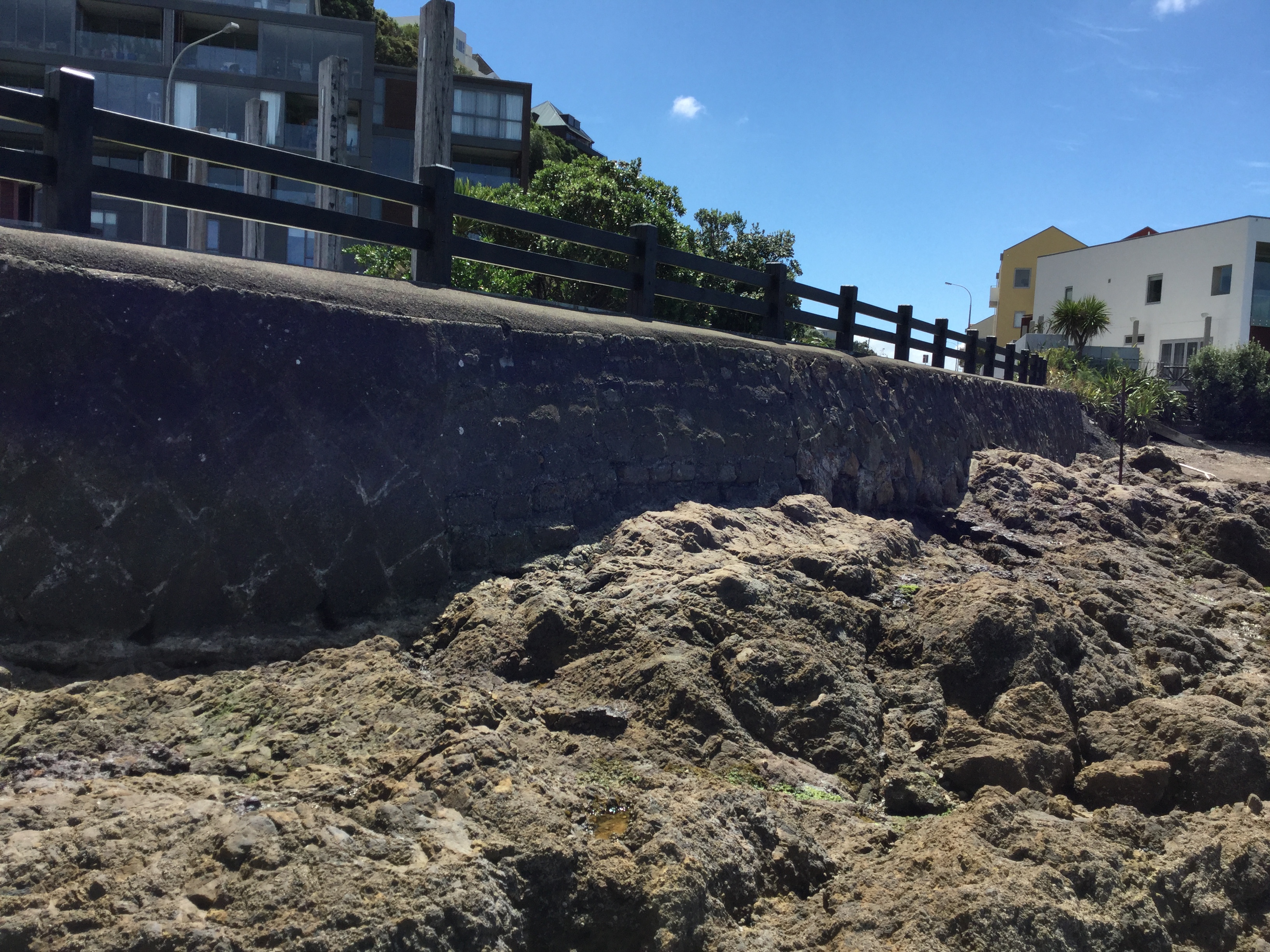 Evans Bay seawall. Image: WCC, 2018