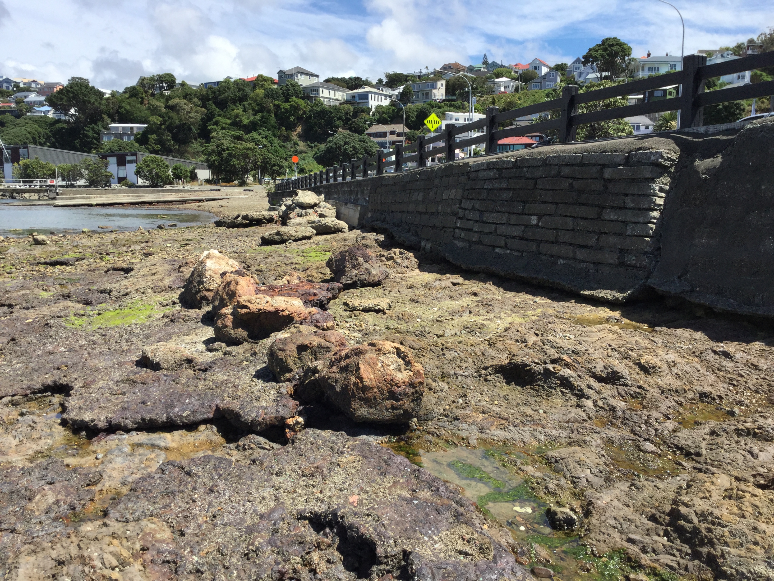 Evans Bay seawall. Image: WCC, 2018