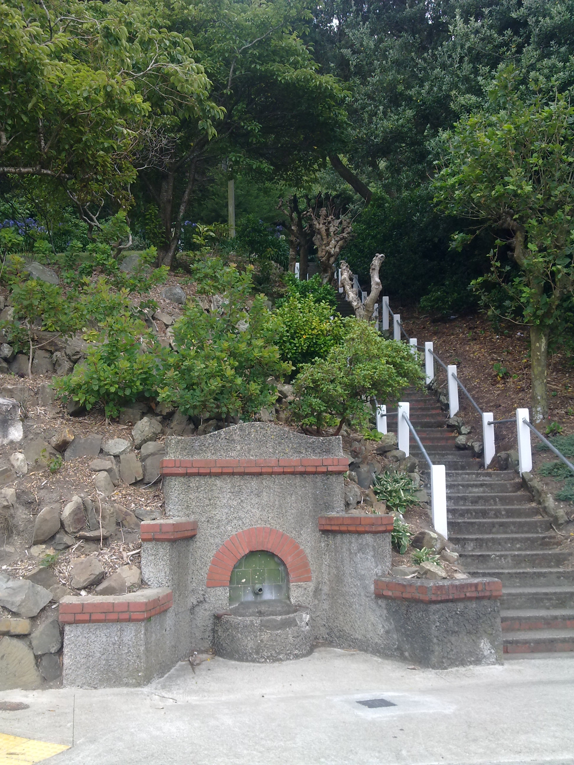 Image: WCC, 2011