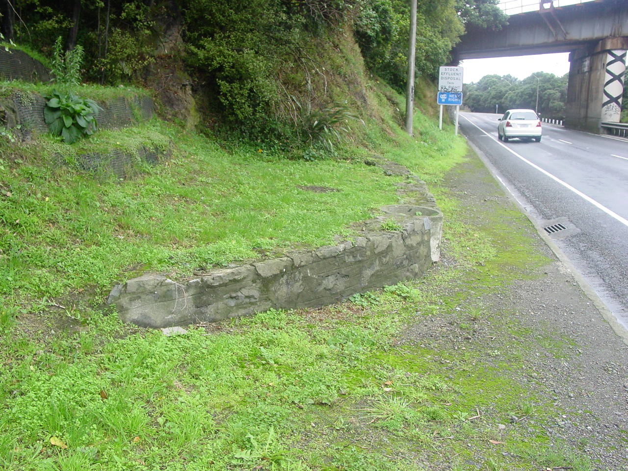 Image: WCC, 2007