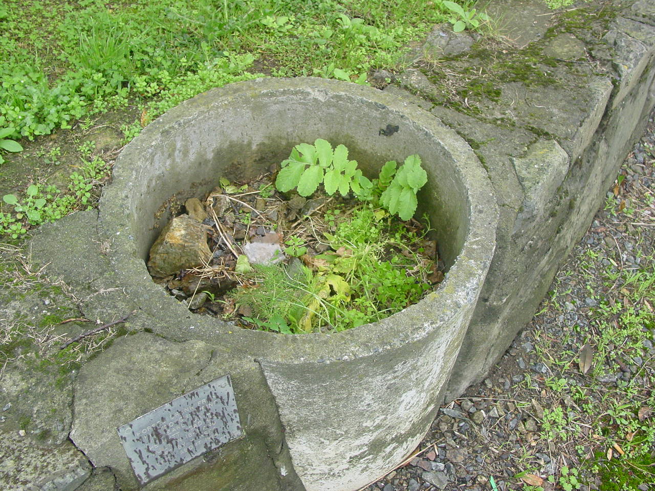 image: WCC, 2005