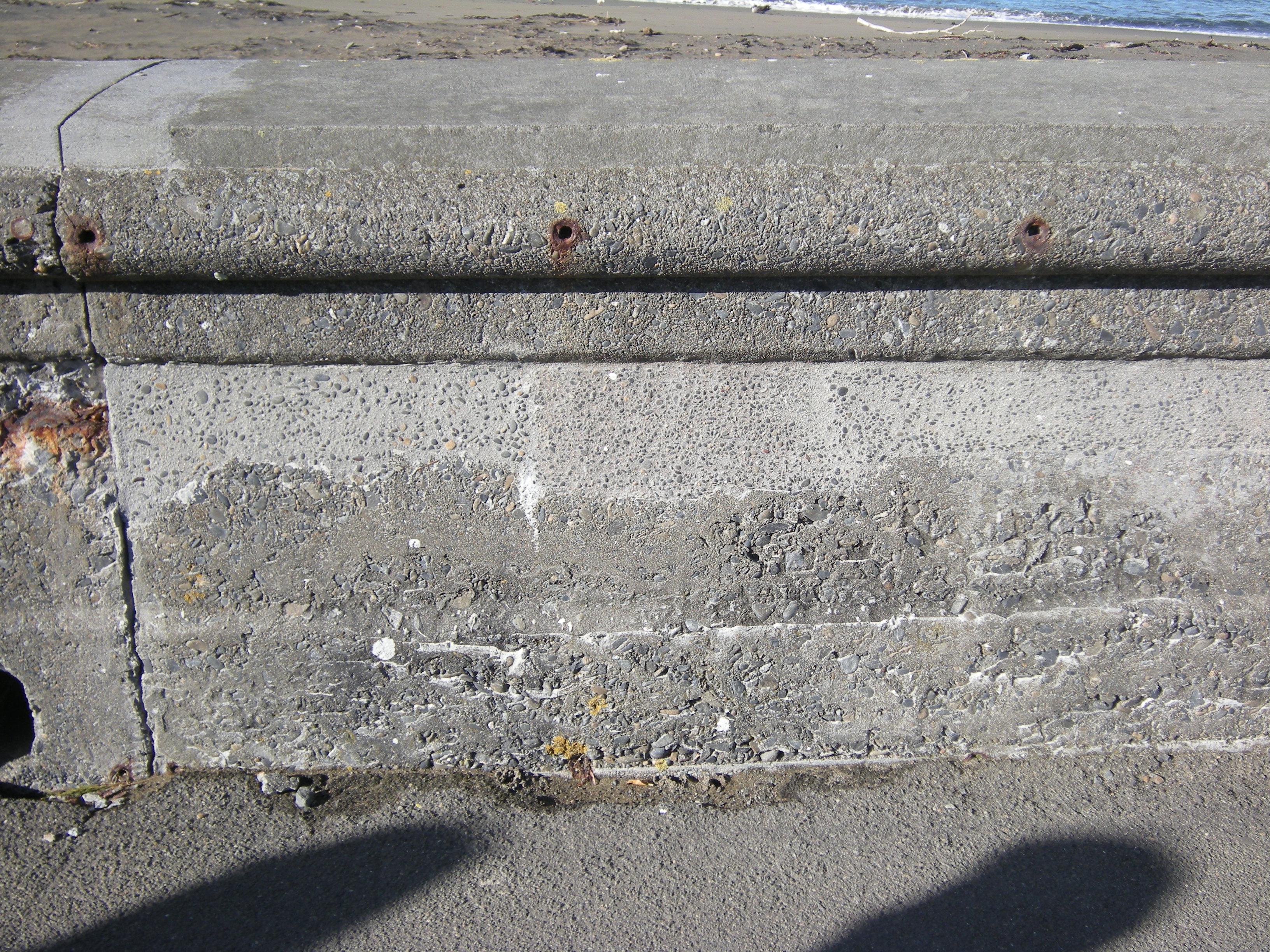 Sea wall viewed from the pavement. Image: WCC, 2014