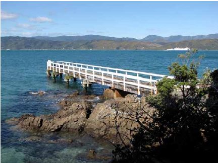 Karaka Bay wharf from Karaka Bay Road