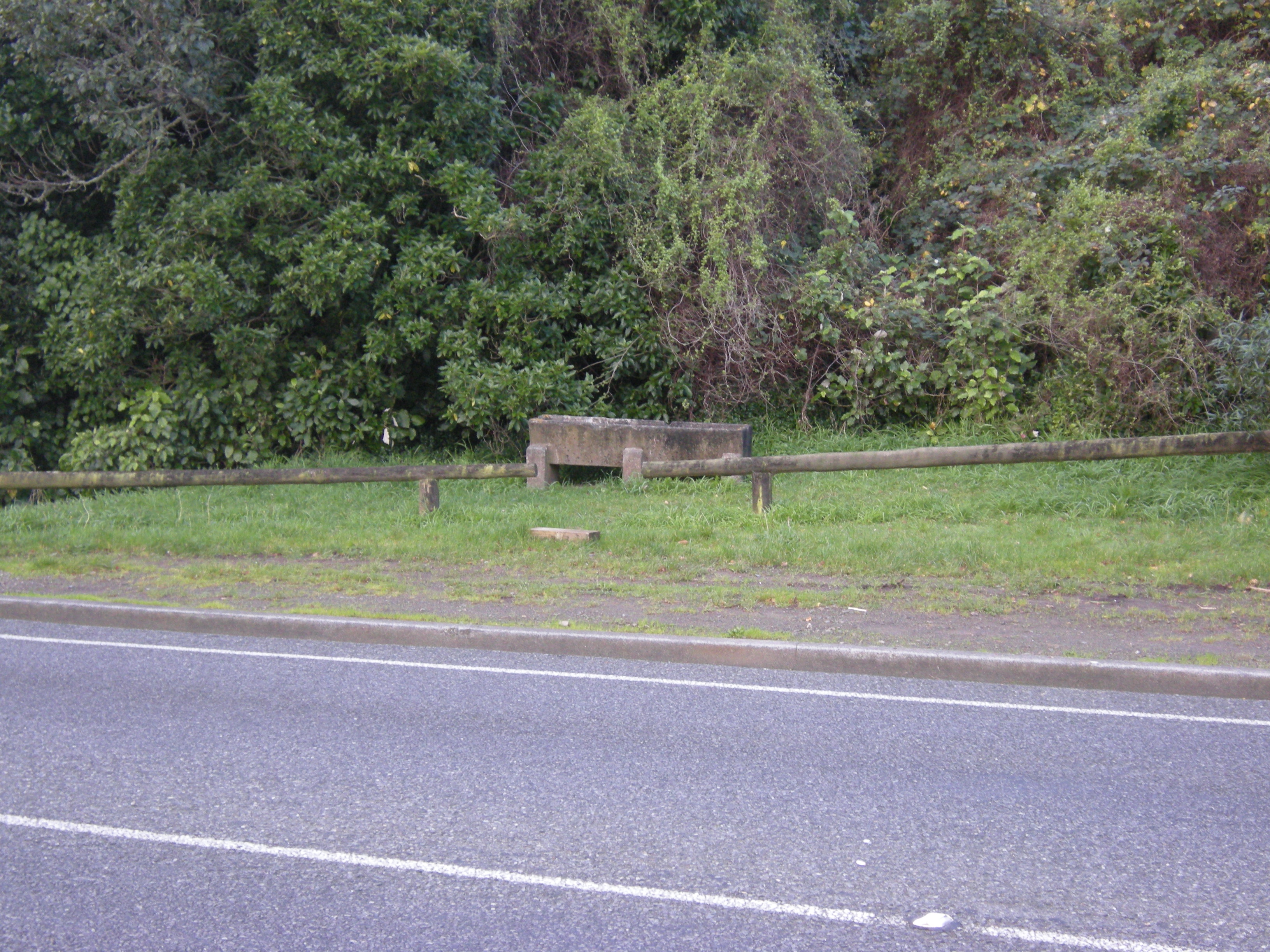 Image: WCC, 2014