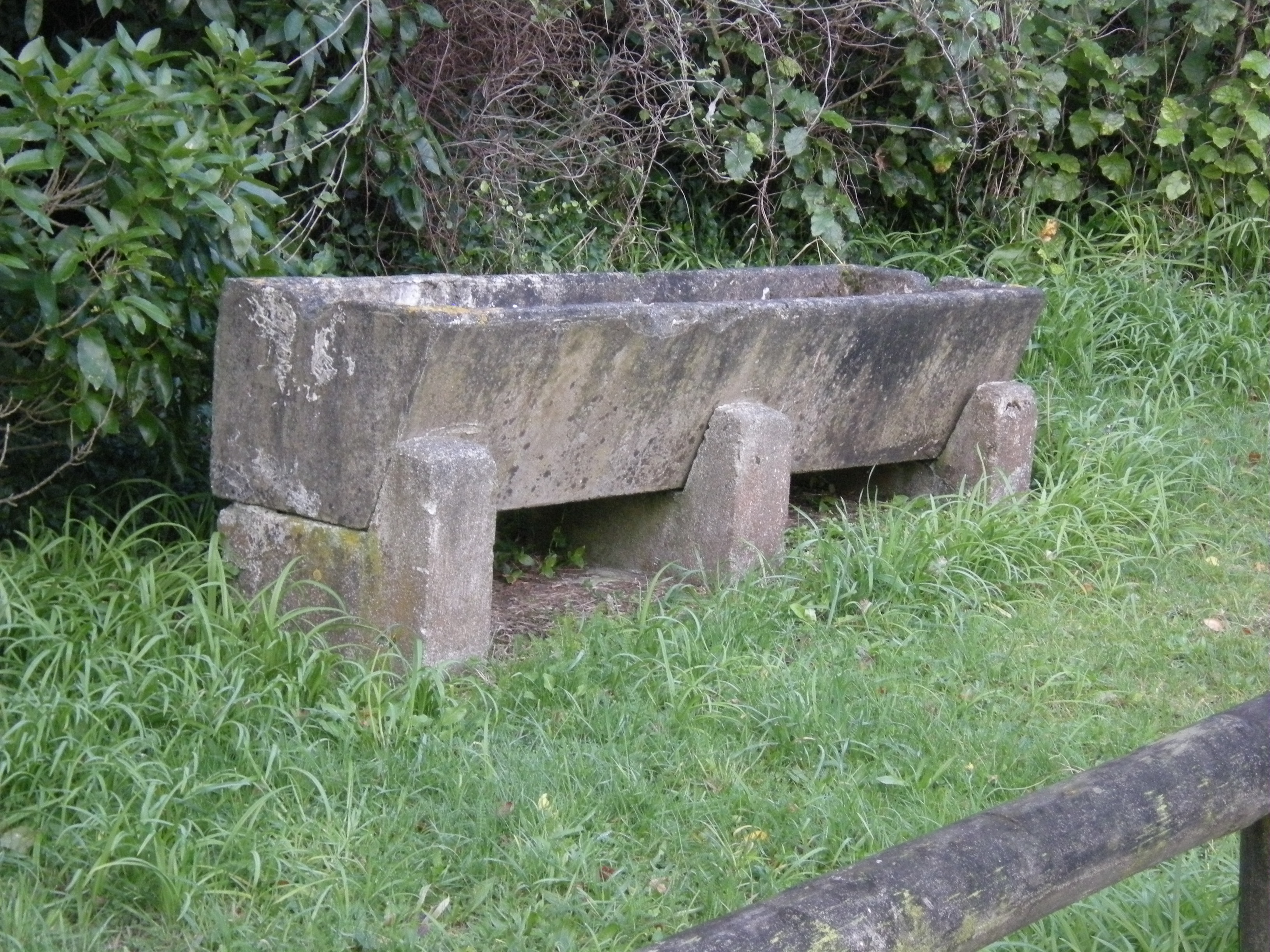 Image: WCC, 2014