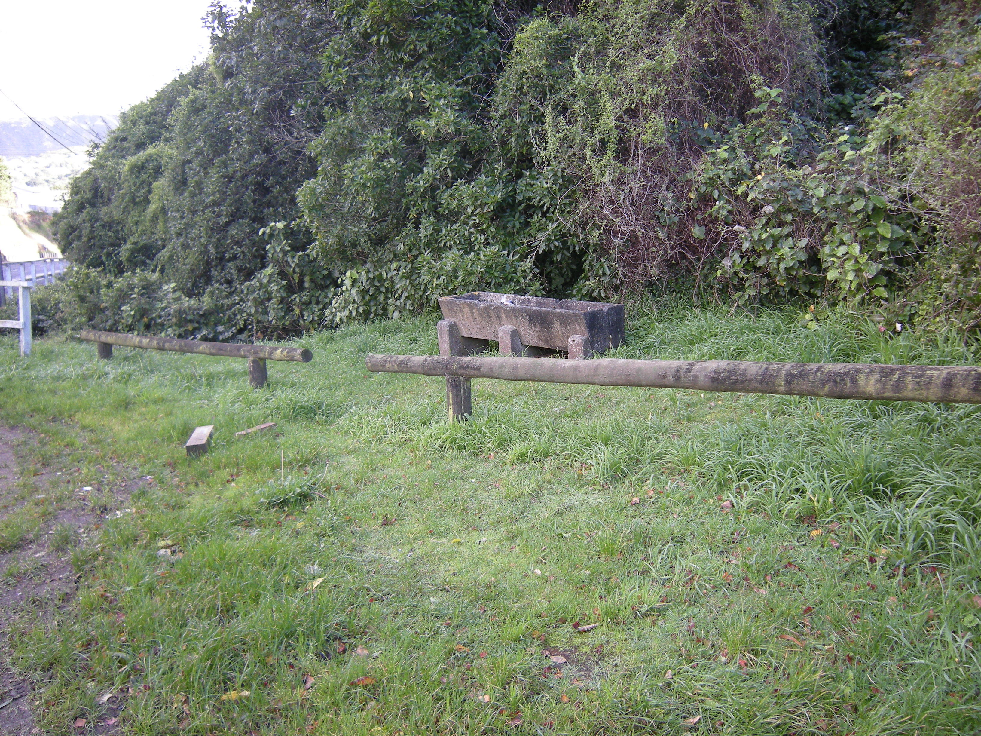 Image: WCC, 2014