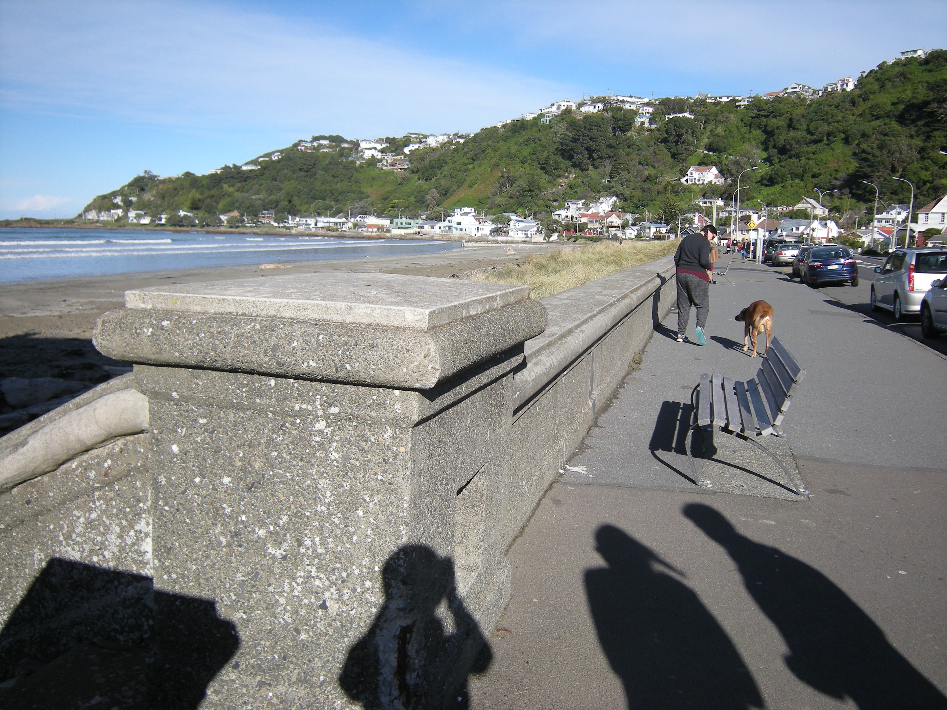 Image: WCC, 2014
