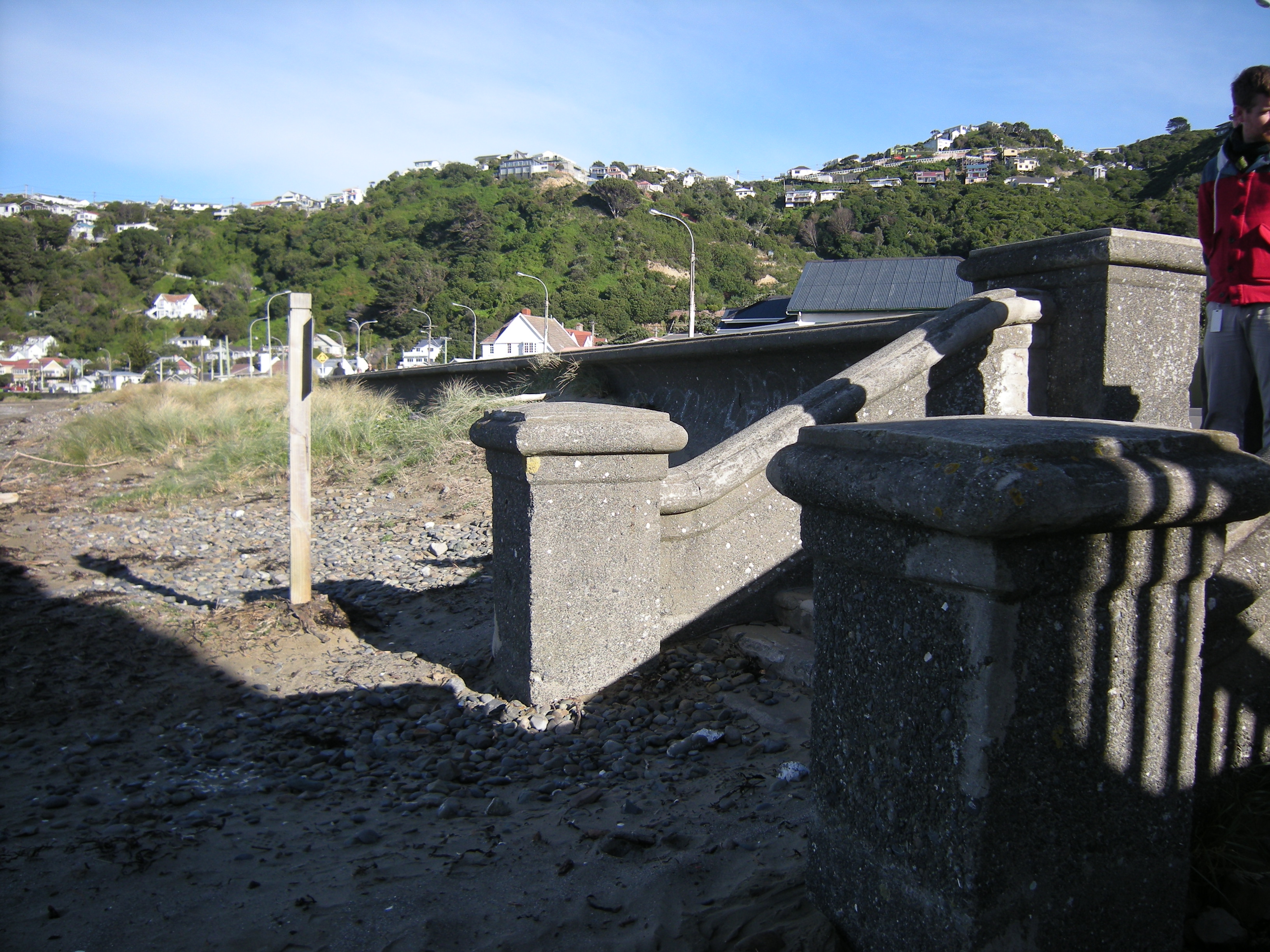 Image: WCC, 2014