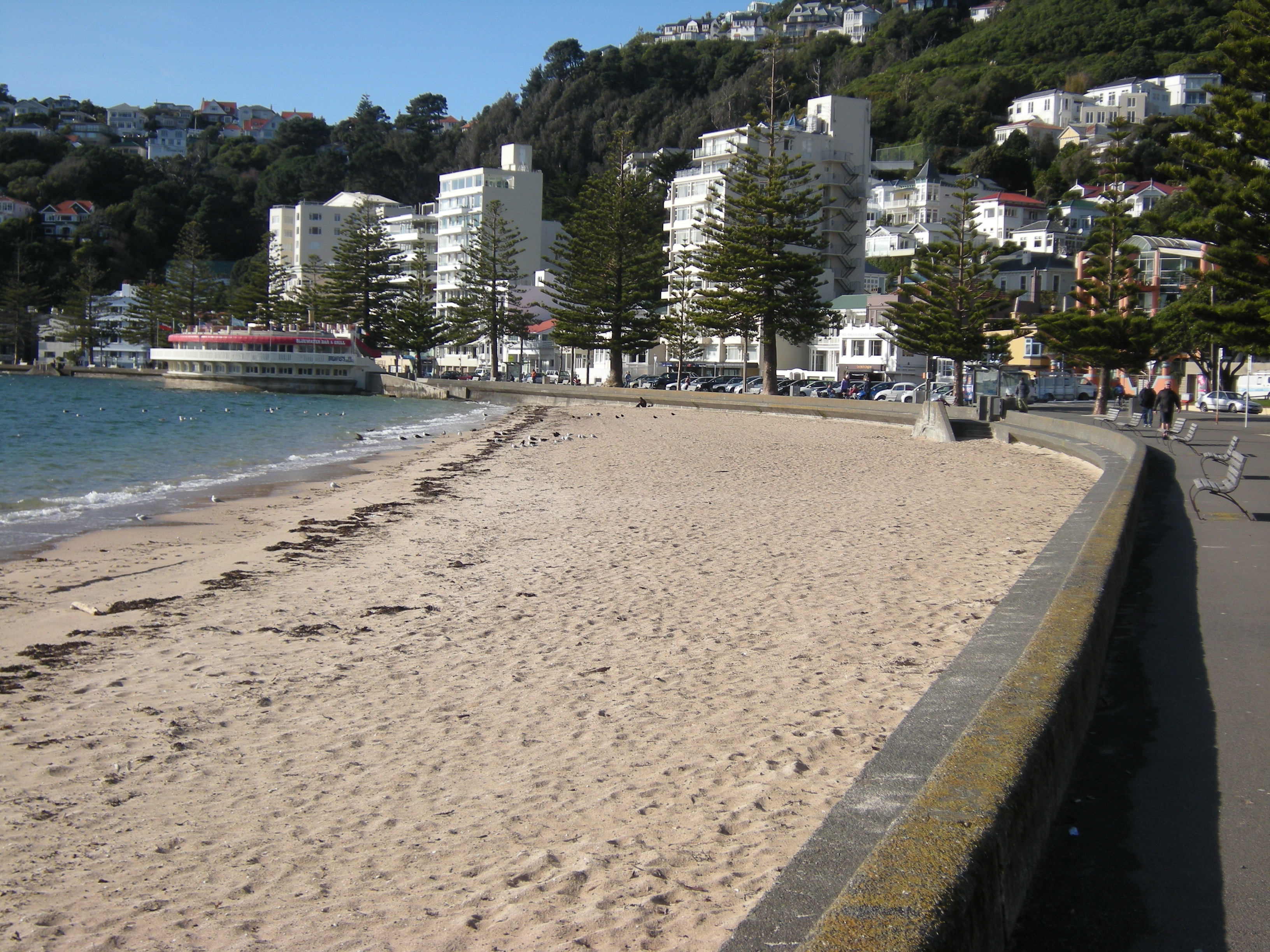 Image:WCC, 2014