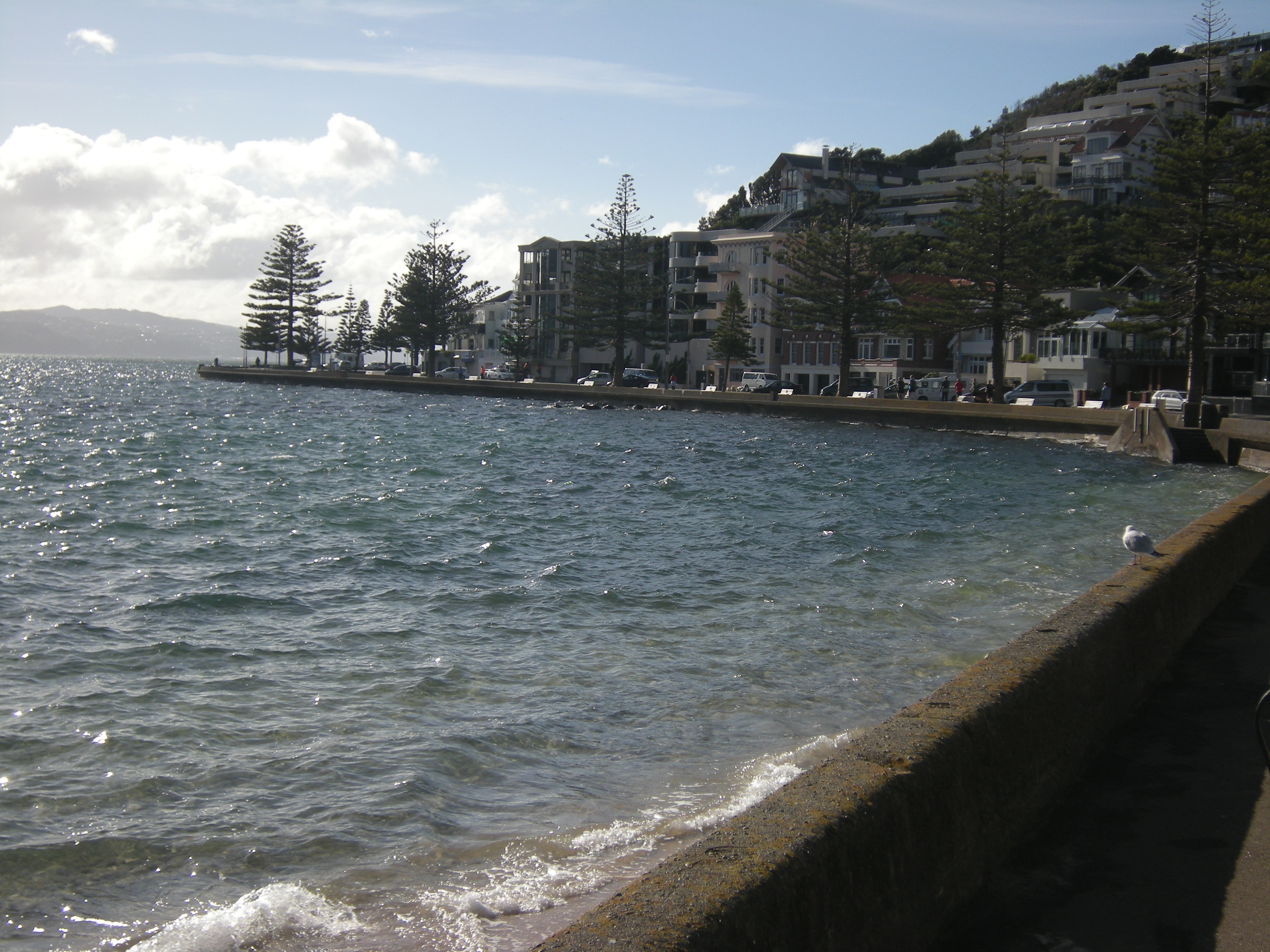 Image: WCC, 2014