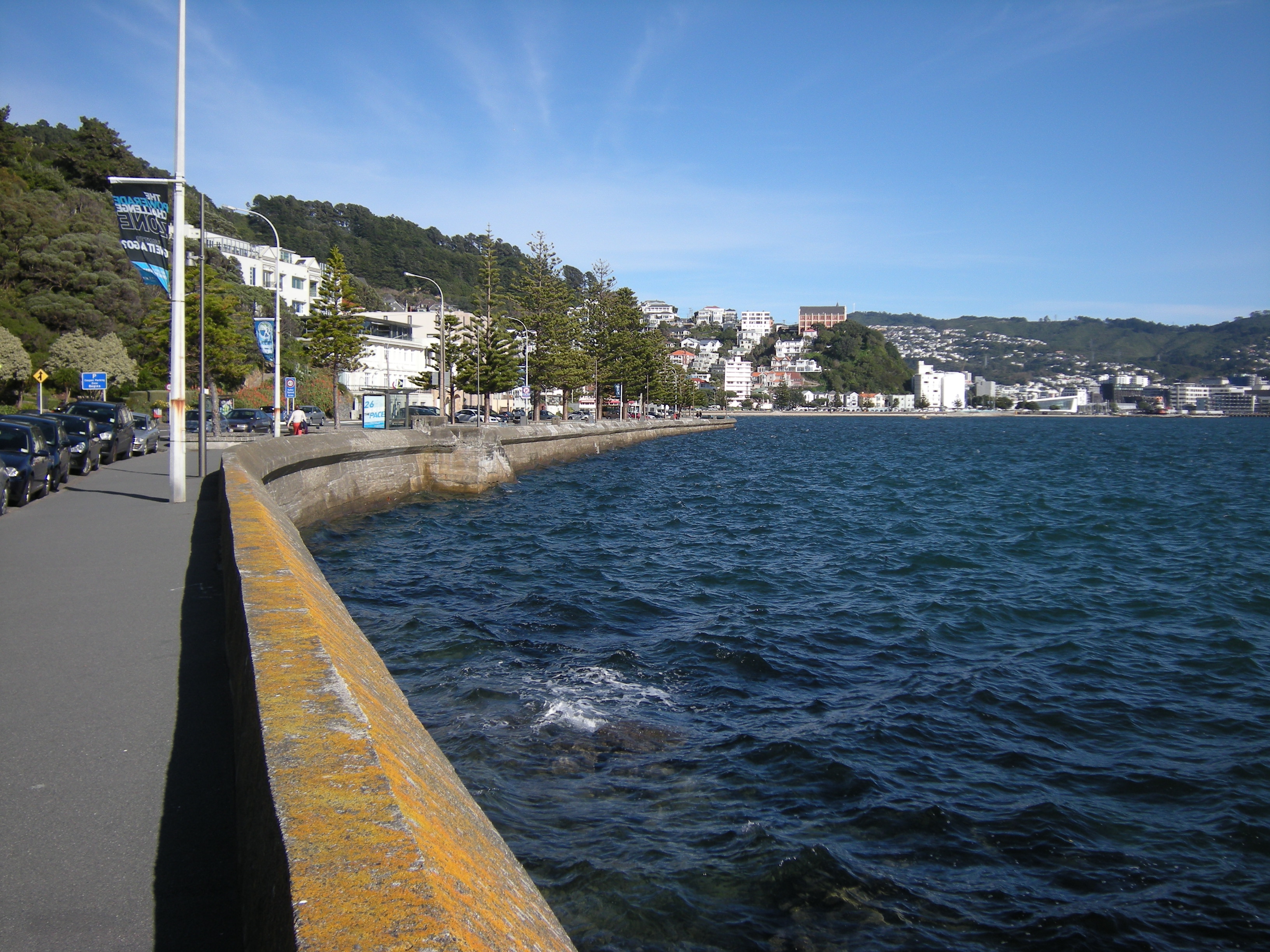 Image: WCC, 2014