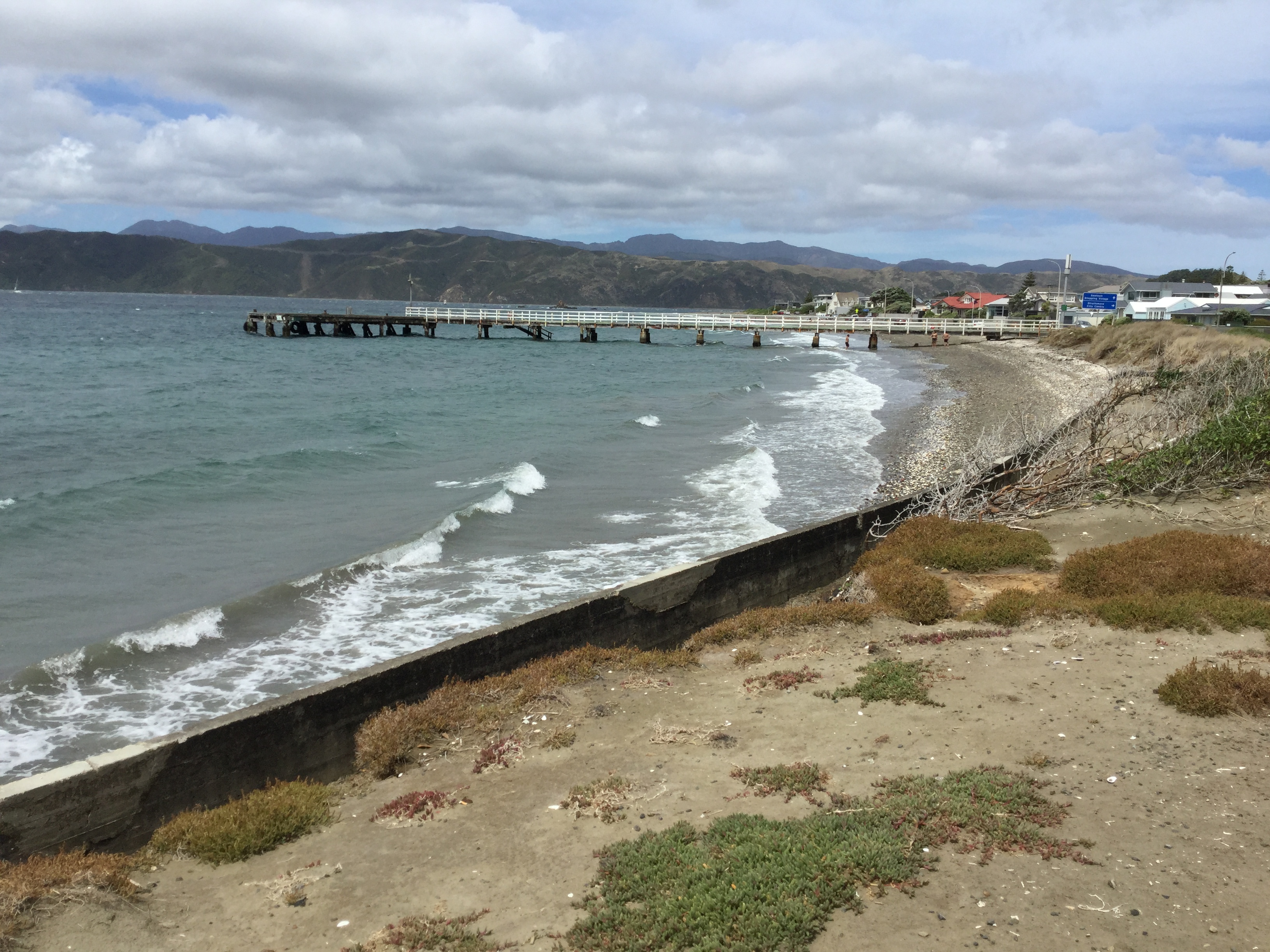 Seatoun wharf. Image: WCC, 2018