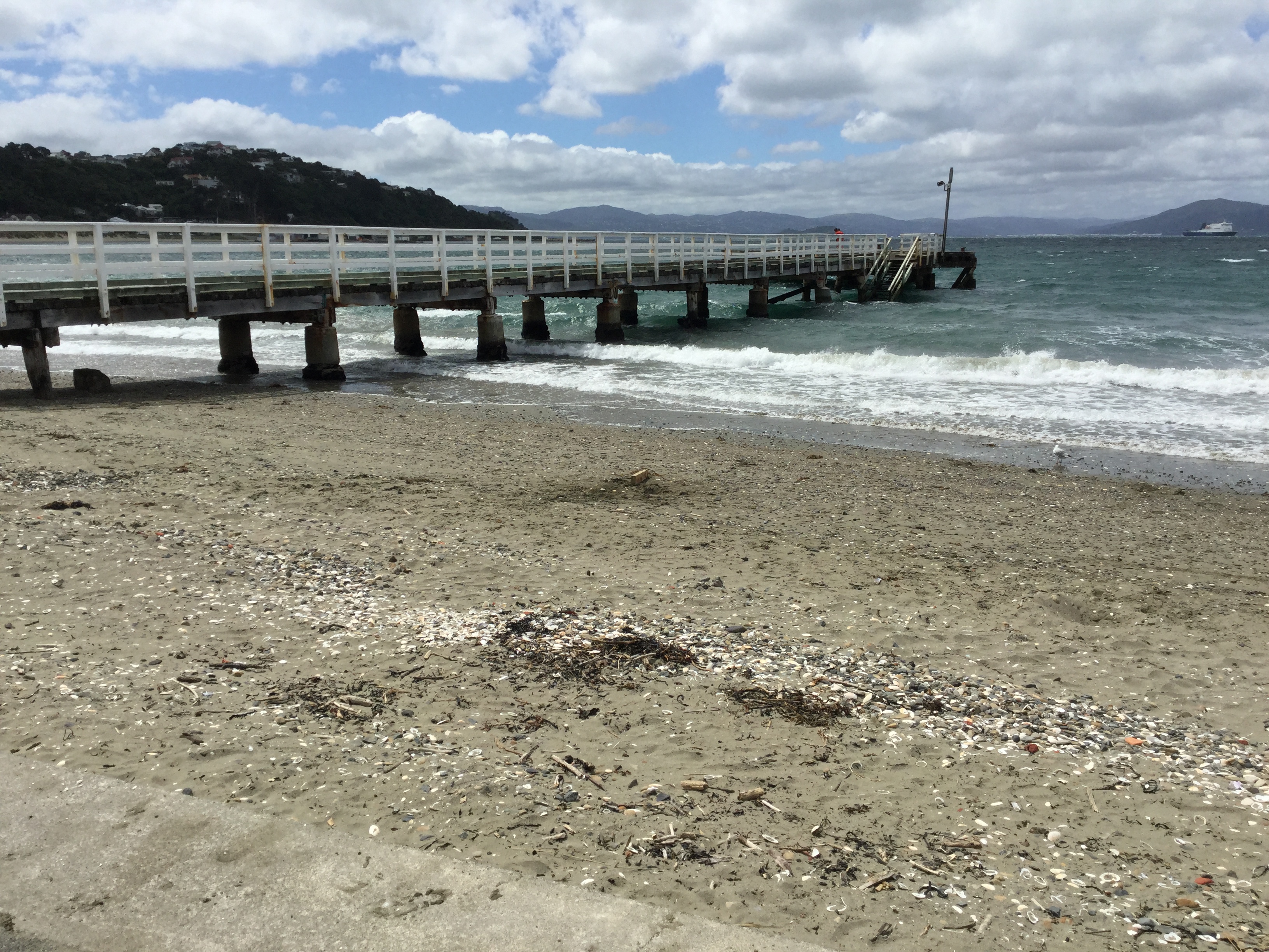 Seatoun wharf. Image: WCC, 2018