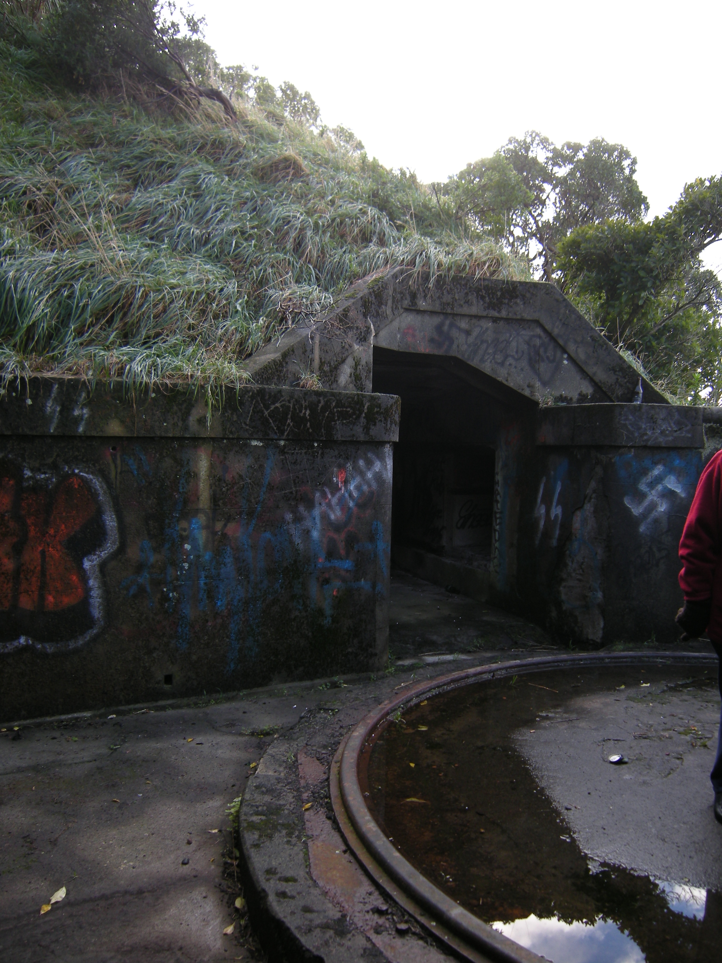 Image: WCC, 2012