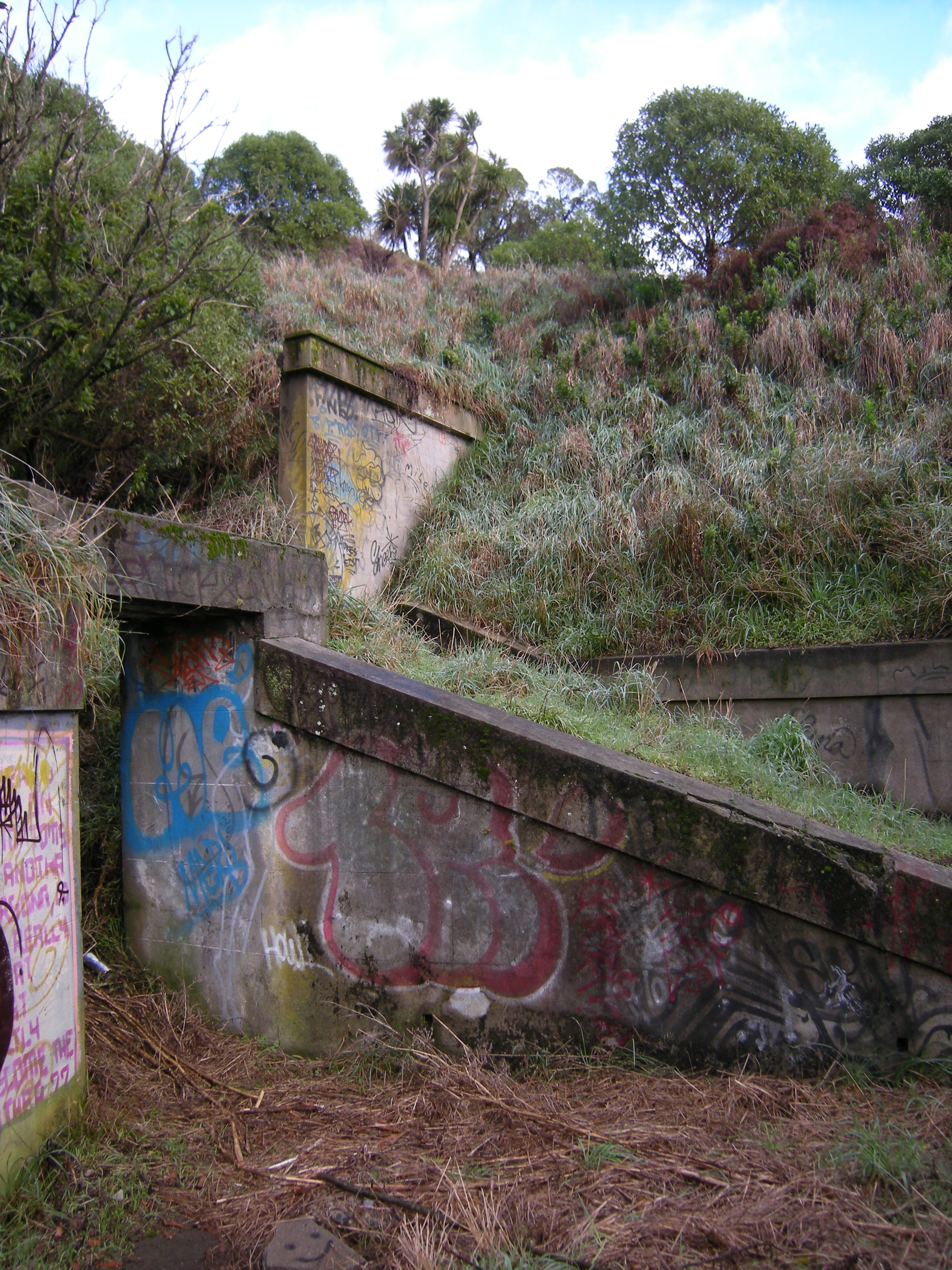 Image: WCC, 2012