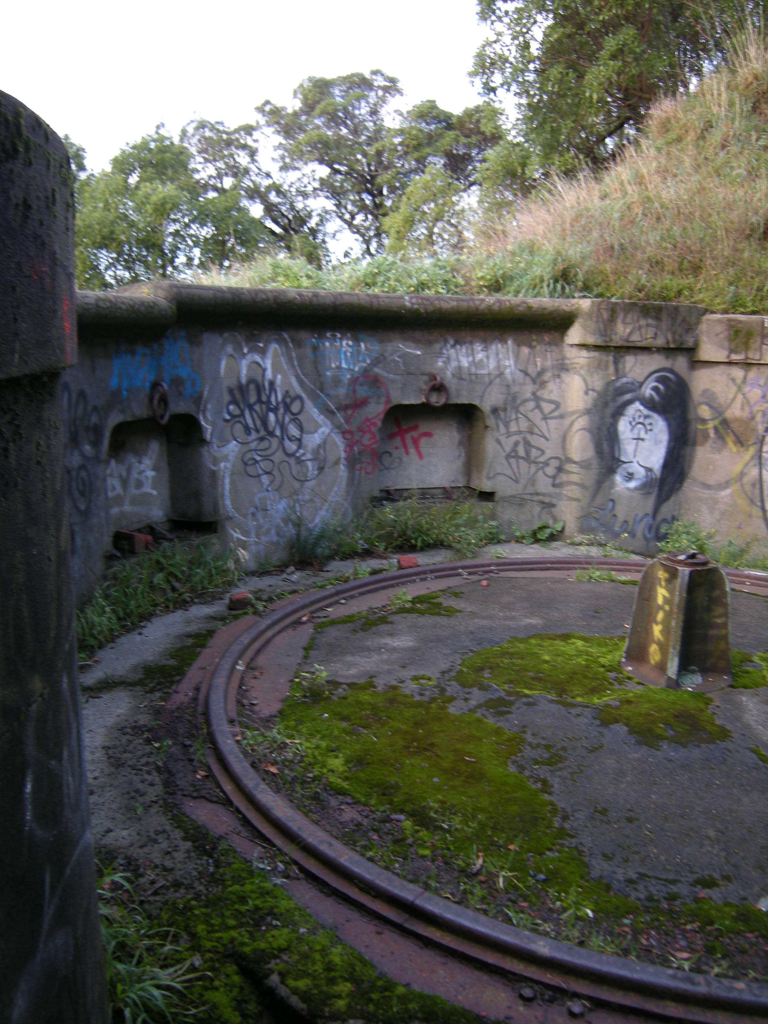 Image: WCC, 2012