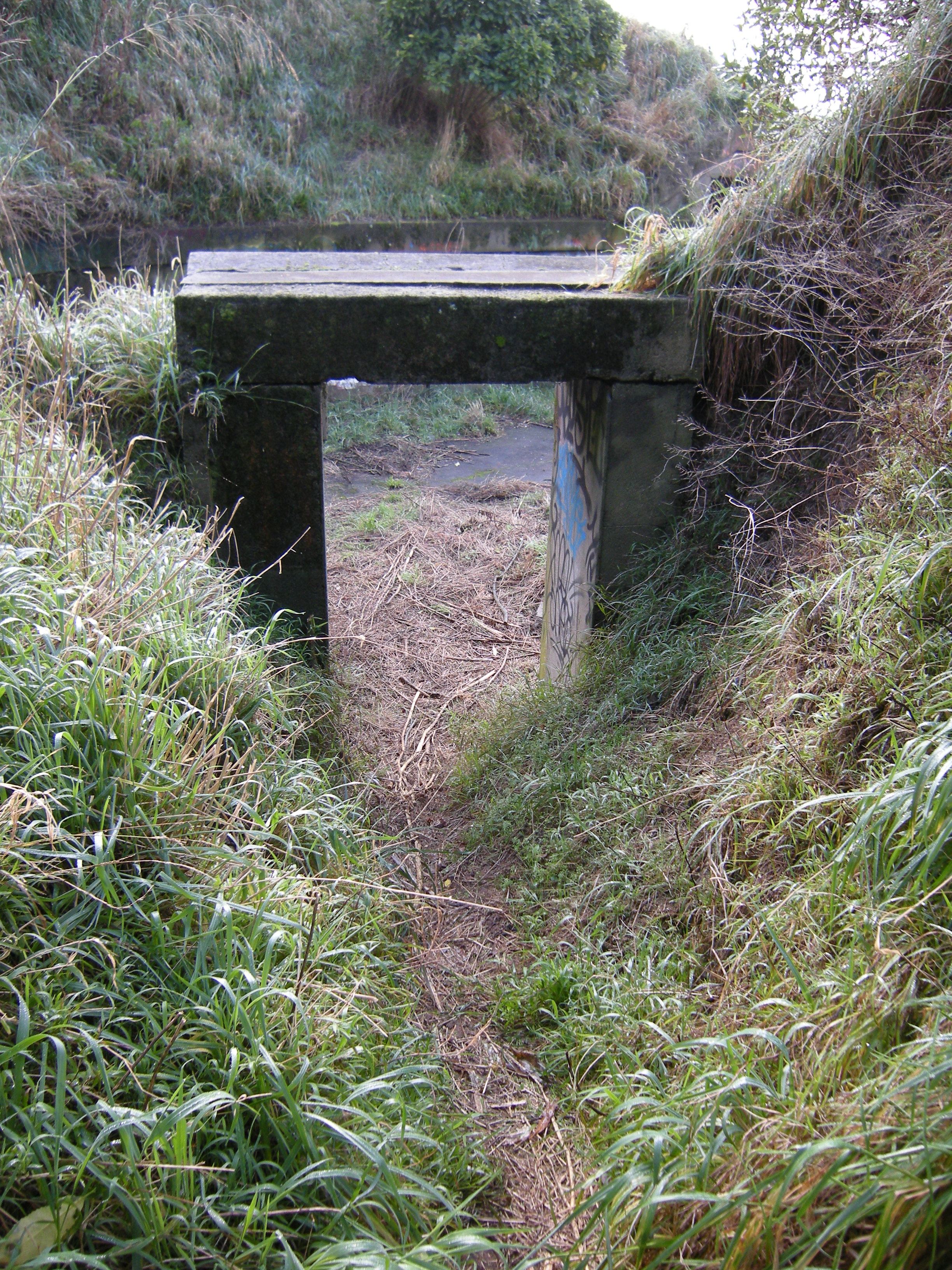 Image: WCC, 2012