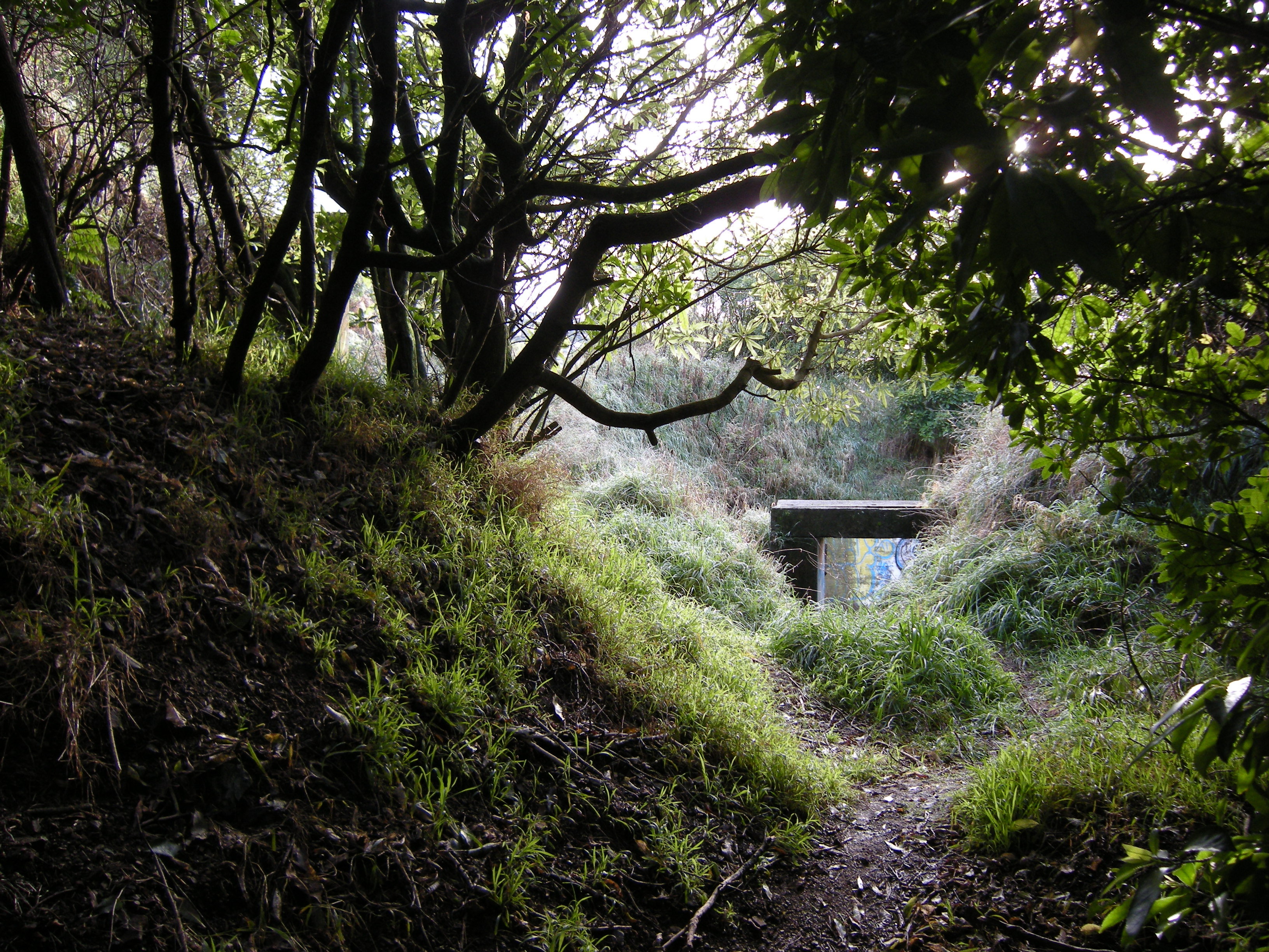 Image: WCC, 2012
