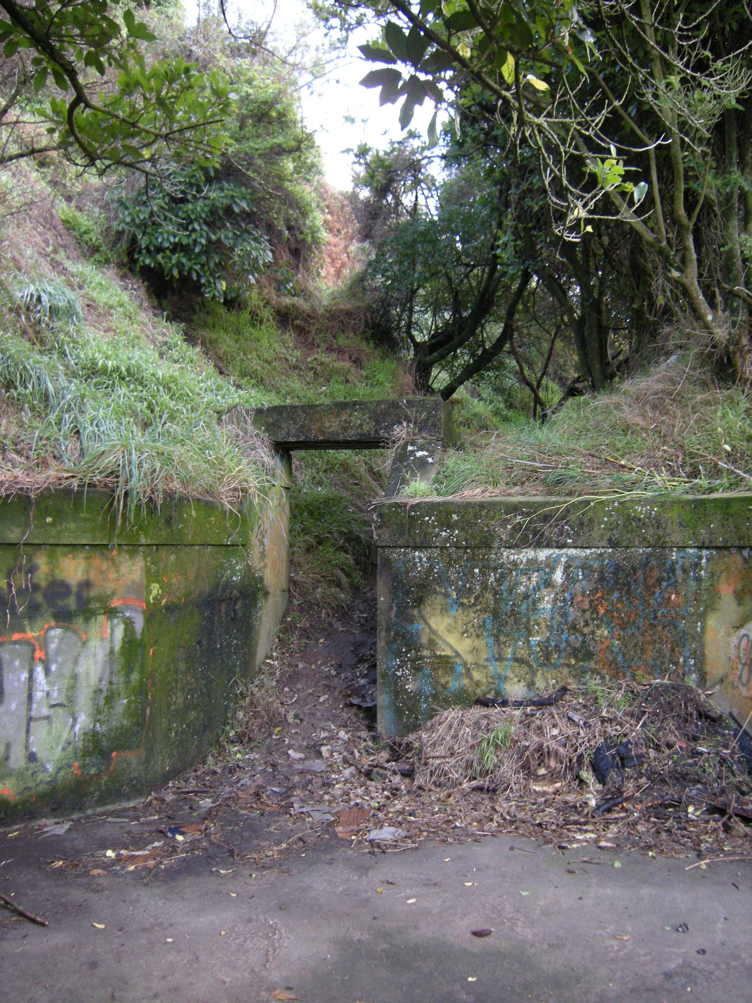 Image: WCC, 2012